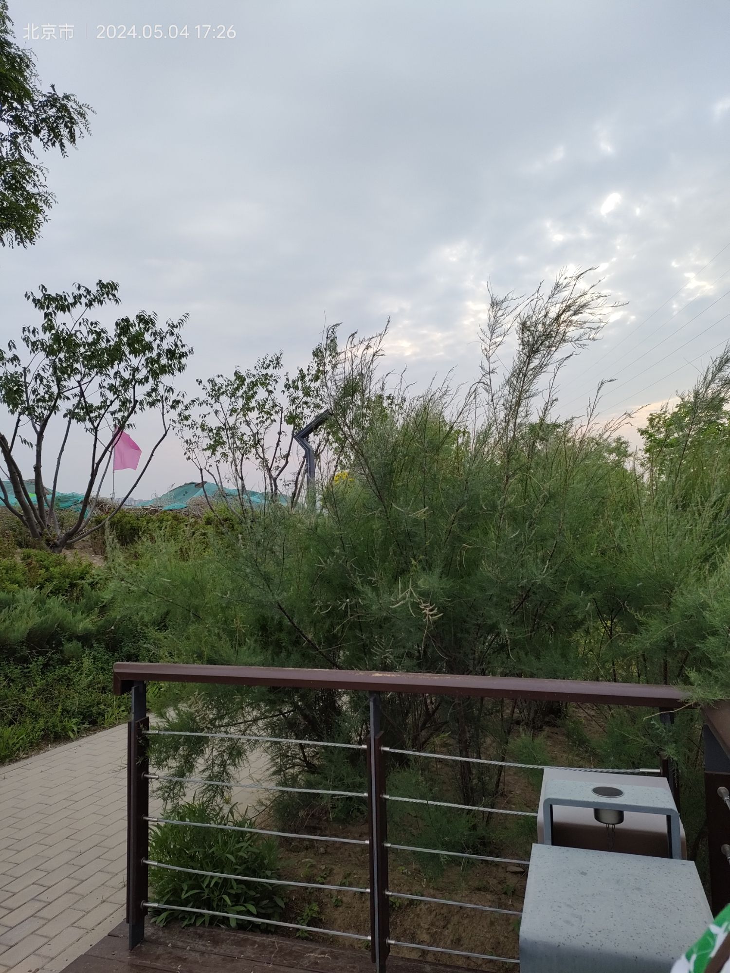 路县故城遗址公园旅行图片 3