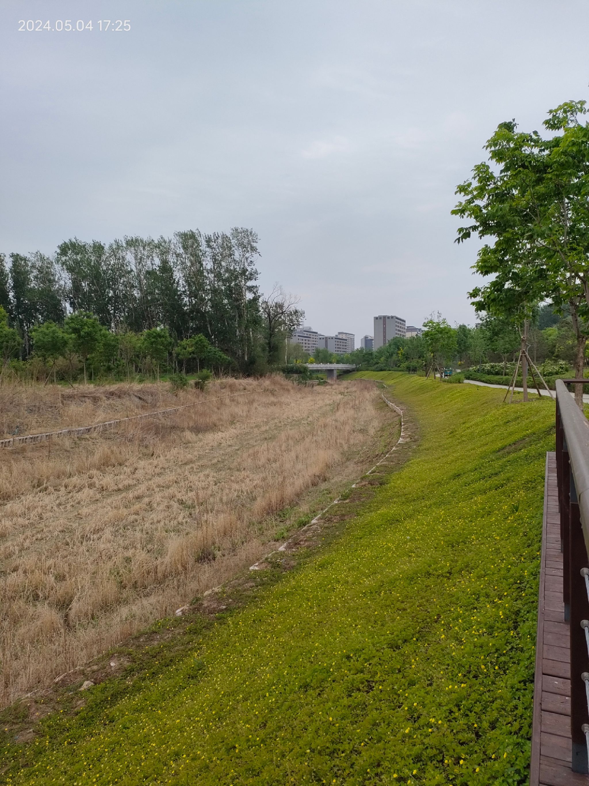 路县故城遗址公园旅行图片 1