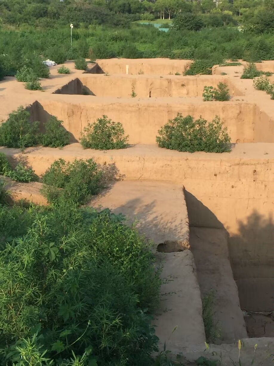 路县故城遗址公园旅行图片 1