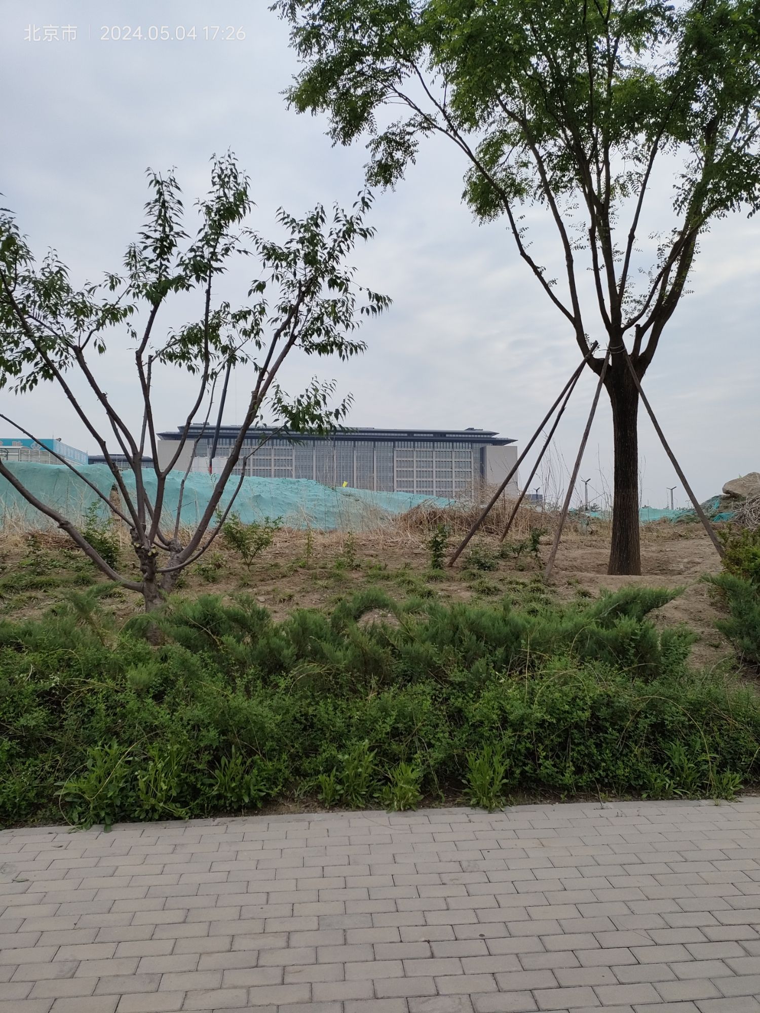 路县故城遗址公园旅行图片 2