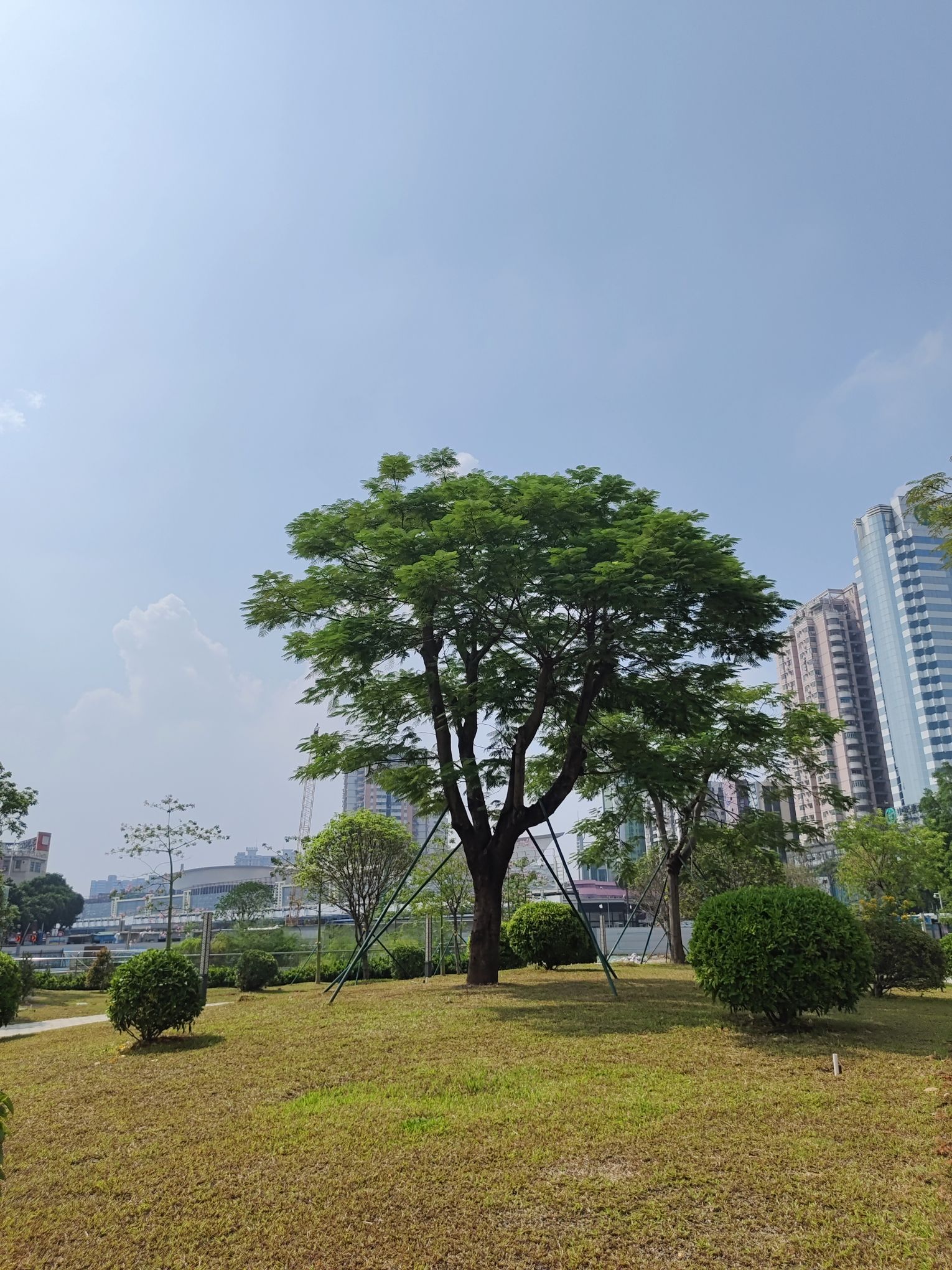 石桥公园旅行图片 3