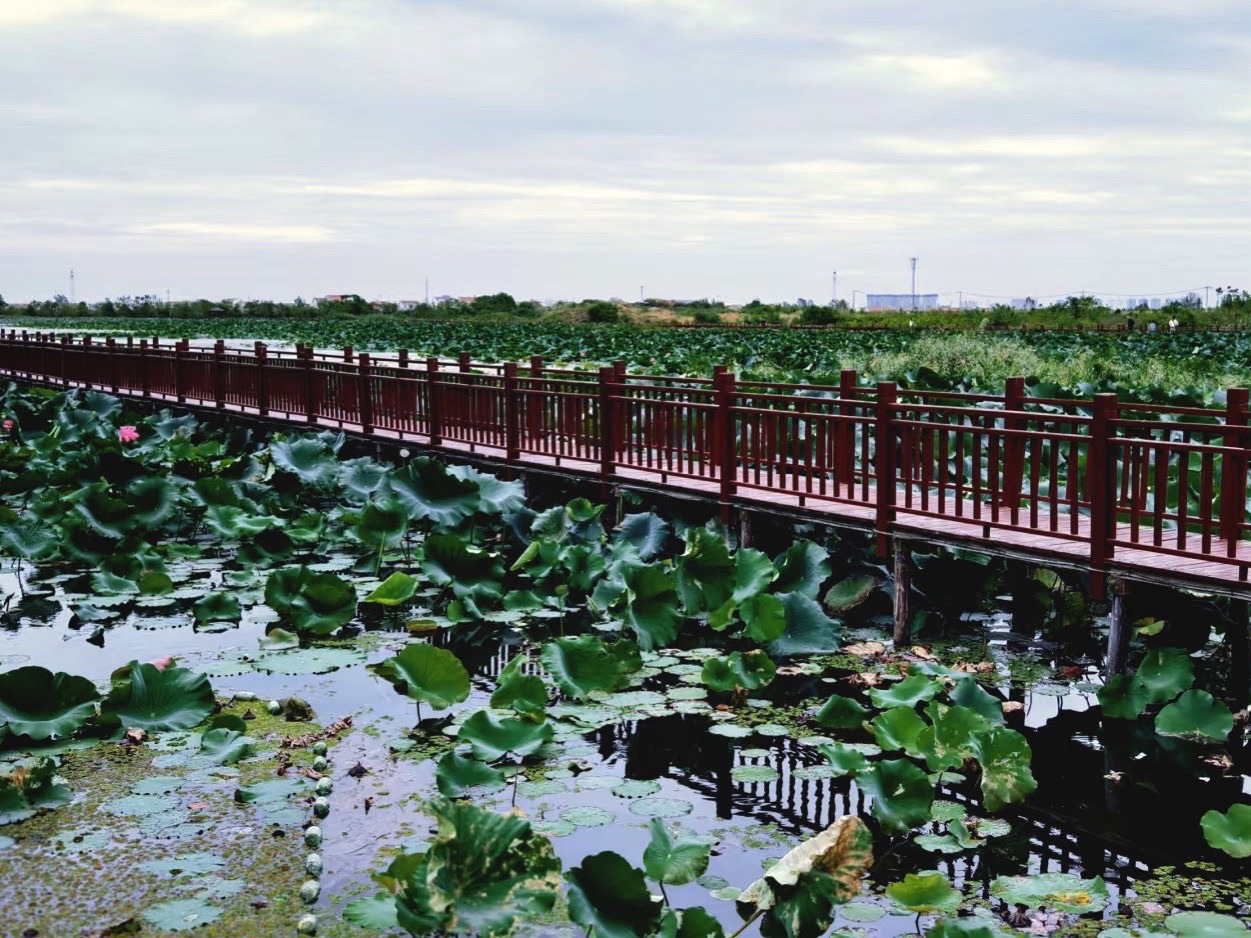 铜铁海风景区旅行图片 3