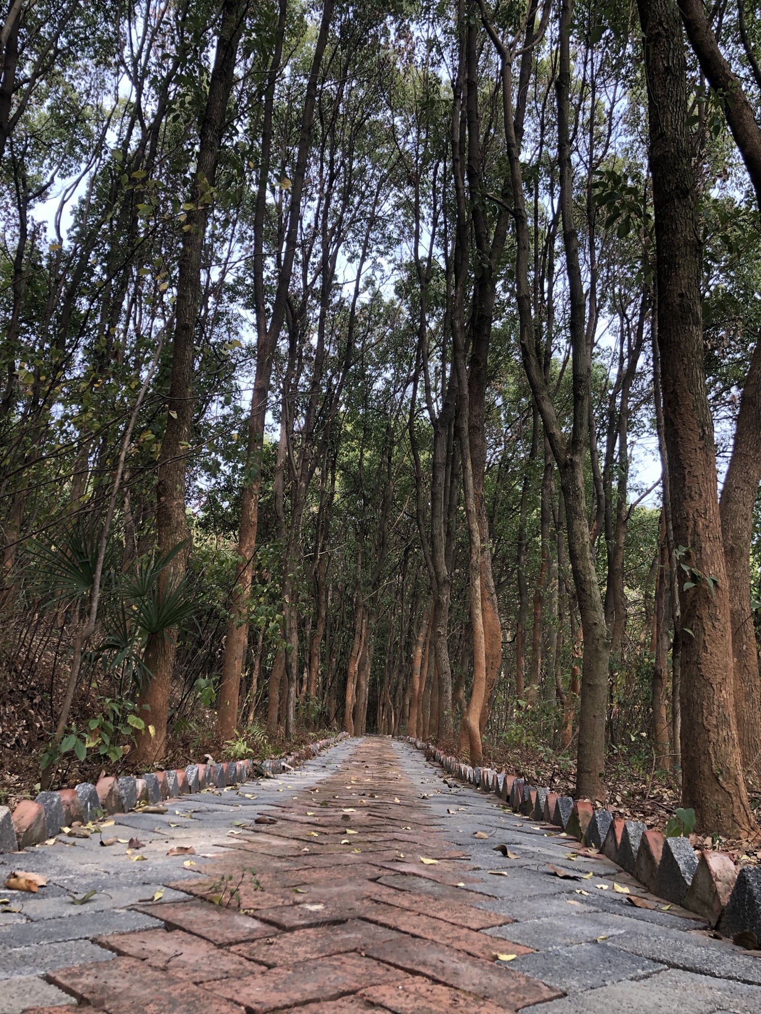 铜铁海风景区旅行图片 3