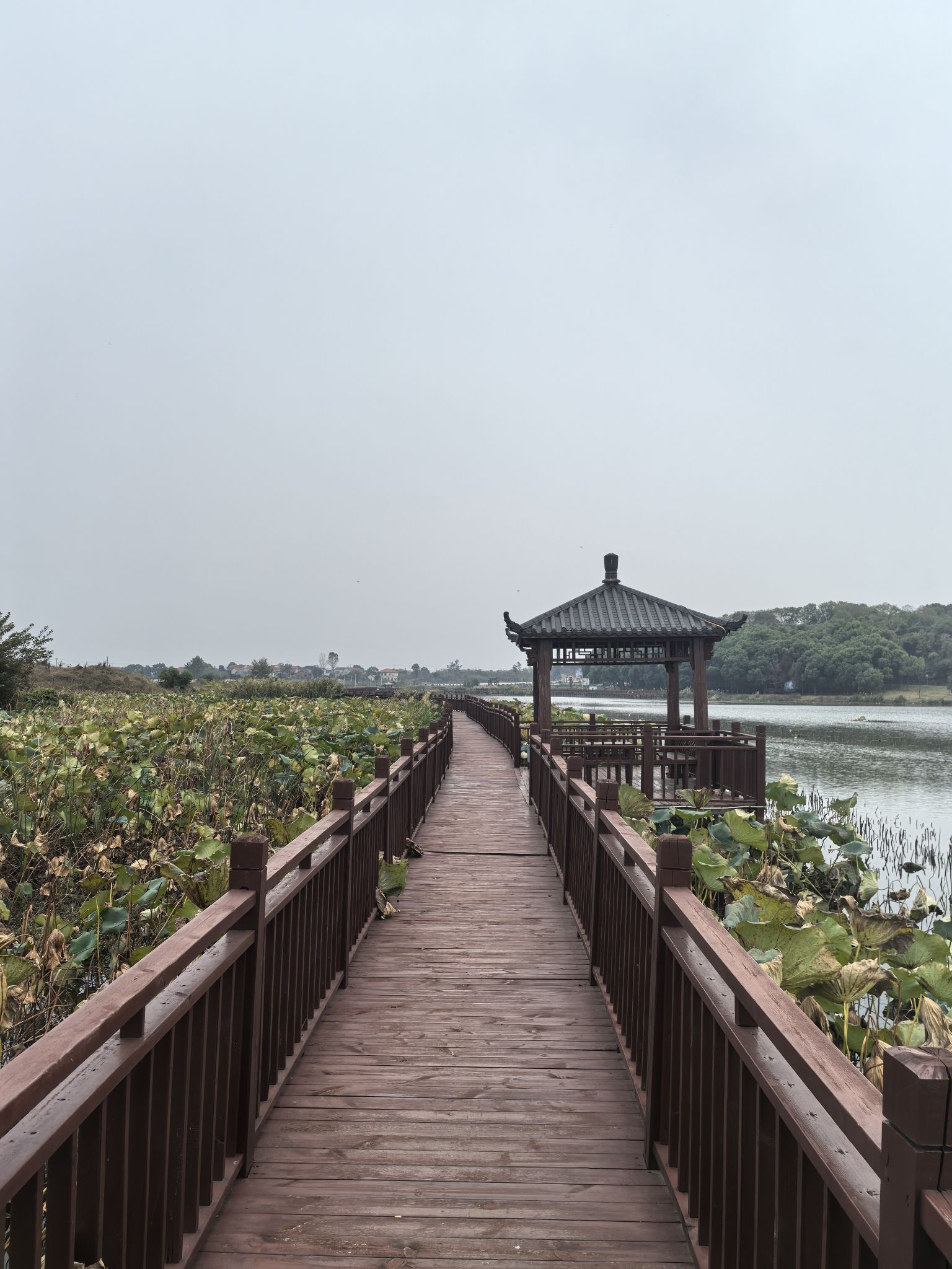 铜铁海风景区旅行图片 1