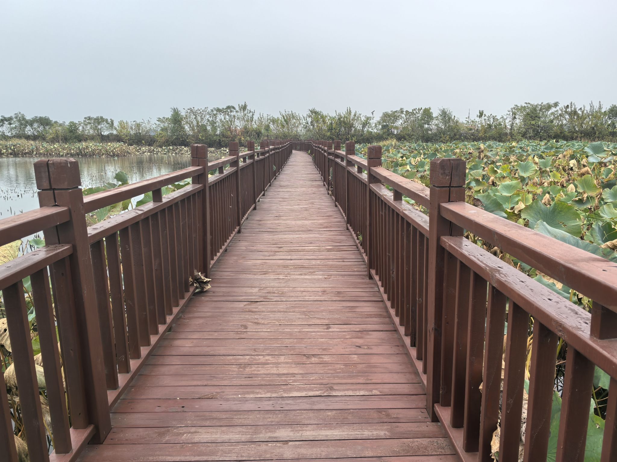 铜铁海风景区旅行图片 2
