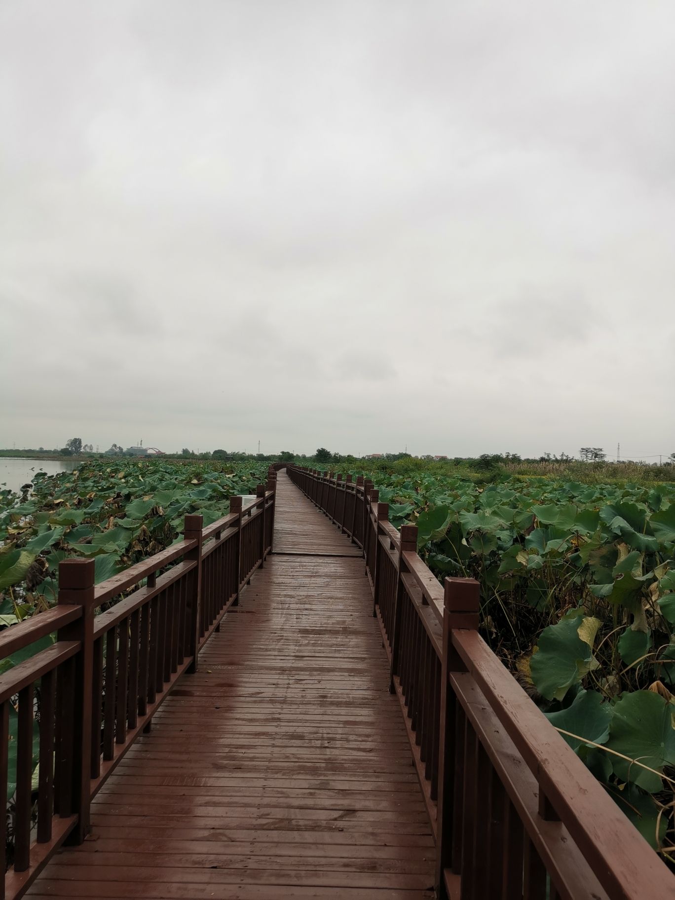 铜铁海风景区旅行图片 1