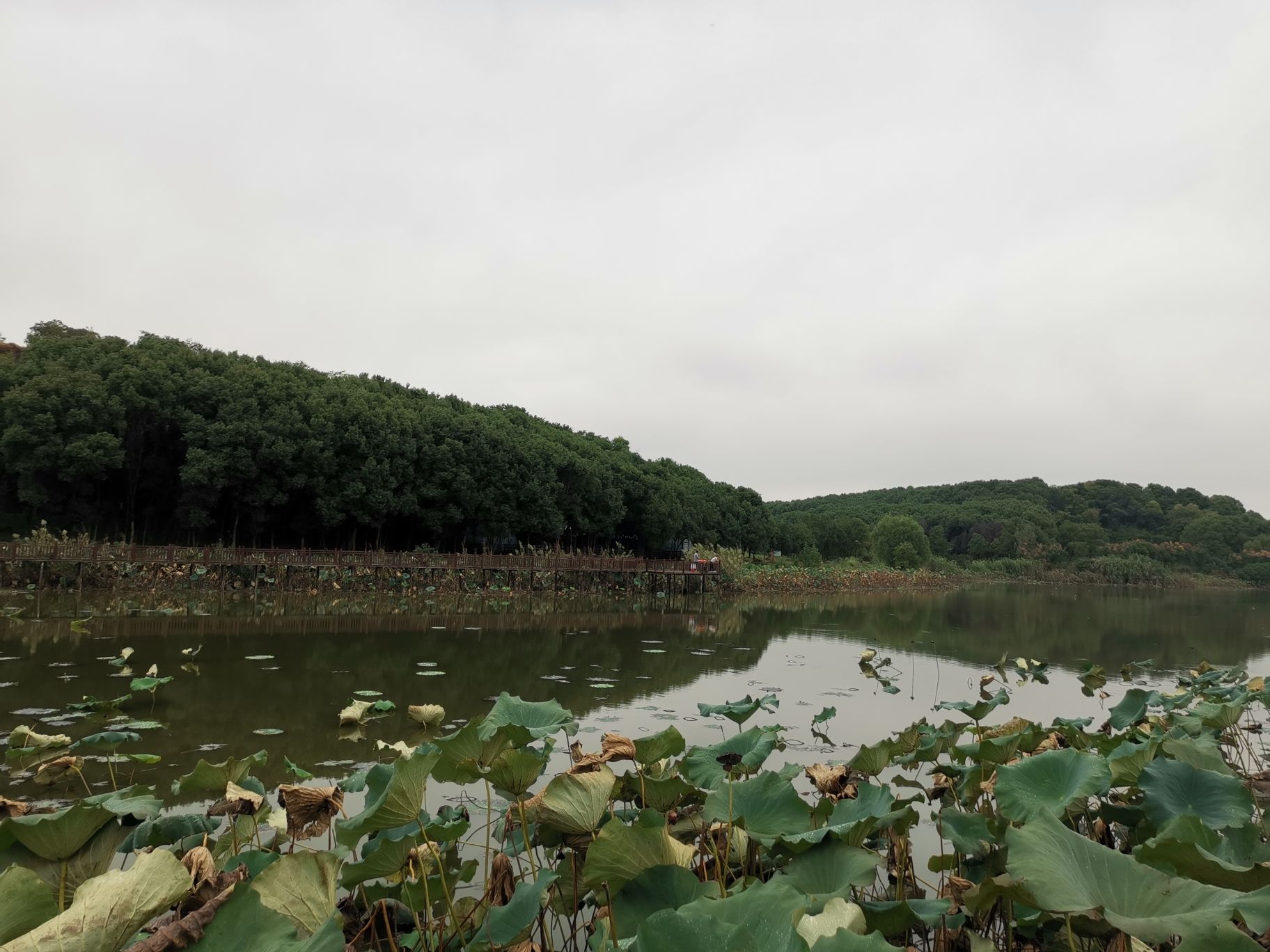 铜铁海风景区旅行图片 3