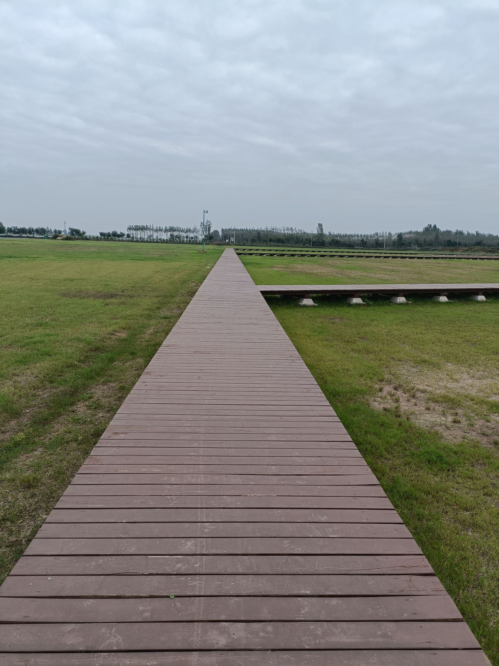 邺城遗址东魏北齐宫城区旅行图片 1