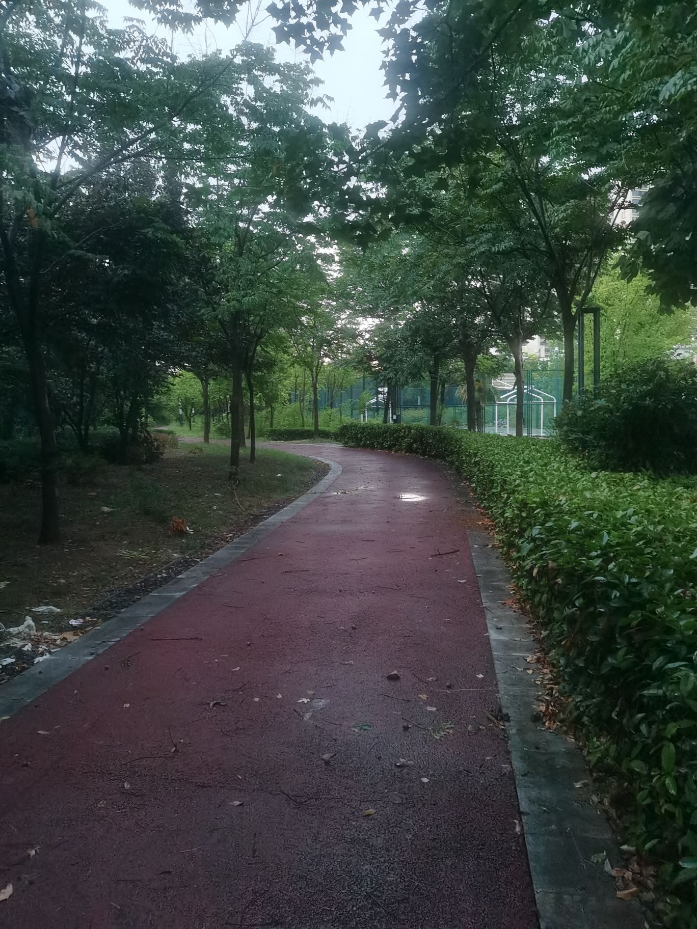 龙翔社区体育公园旅行图片 1