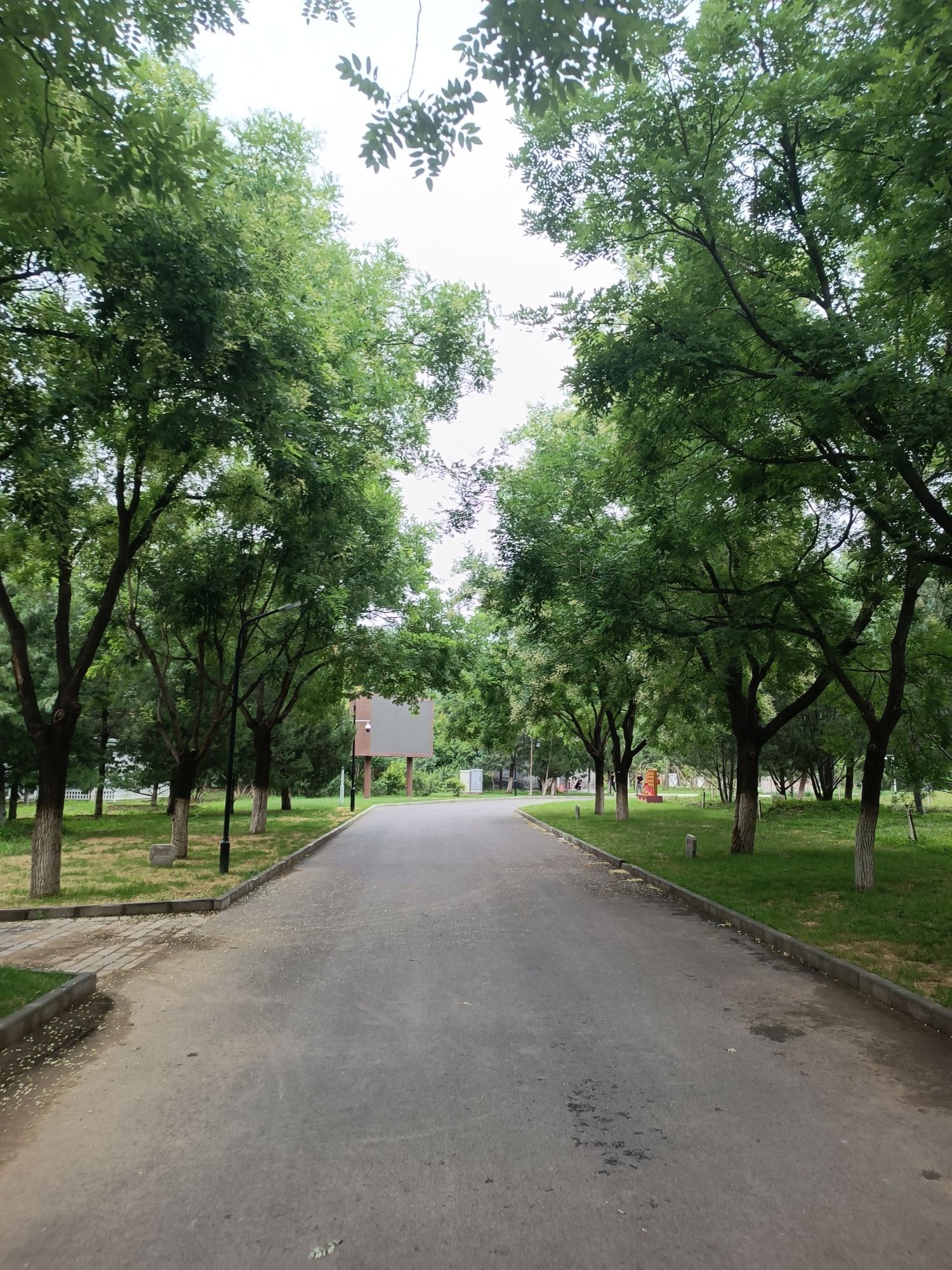 大运河源头遗址公园旅行图片 3