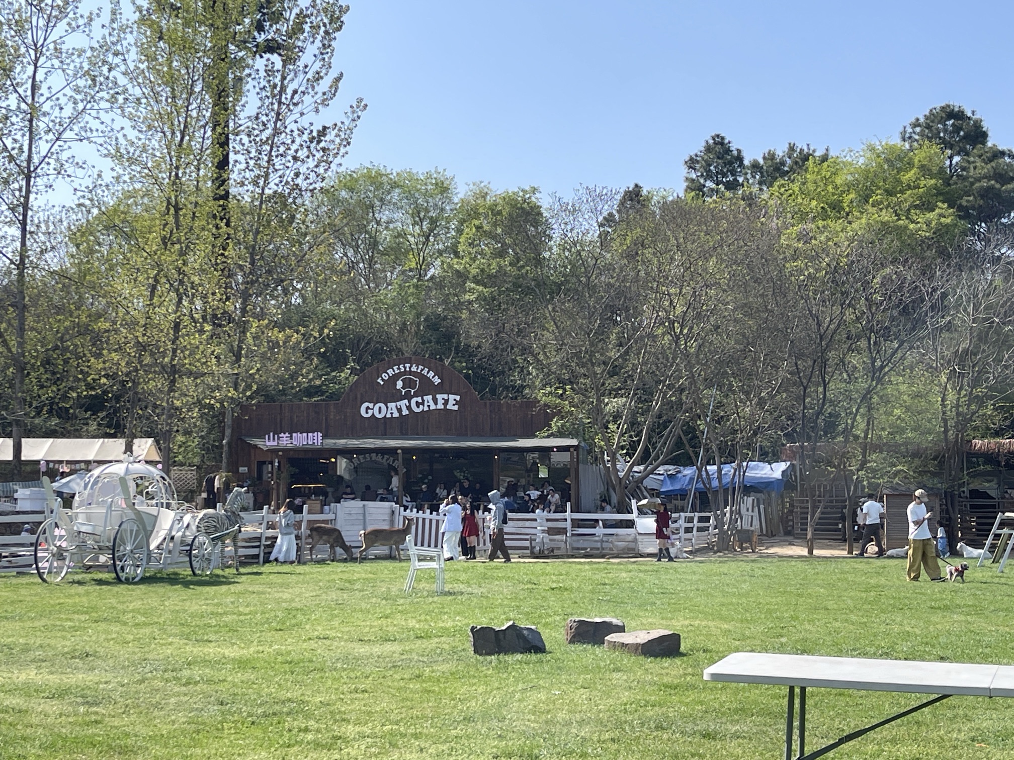 场地封面-TUTU-CAMP露营基地