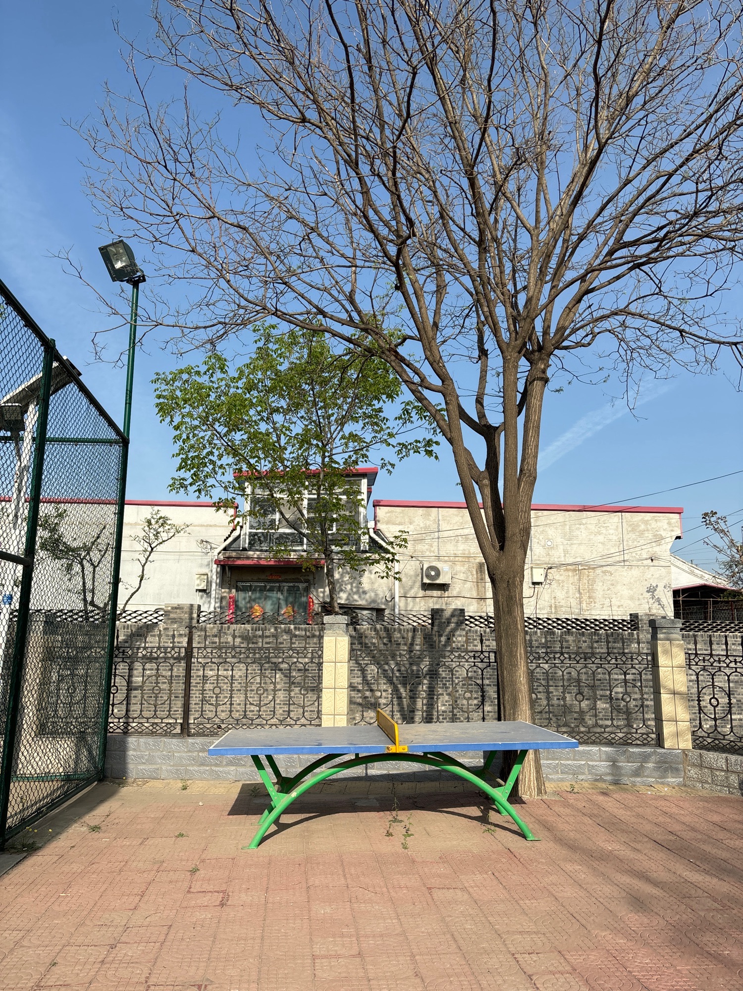 北庄头村休闲公园旅行图片 3