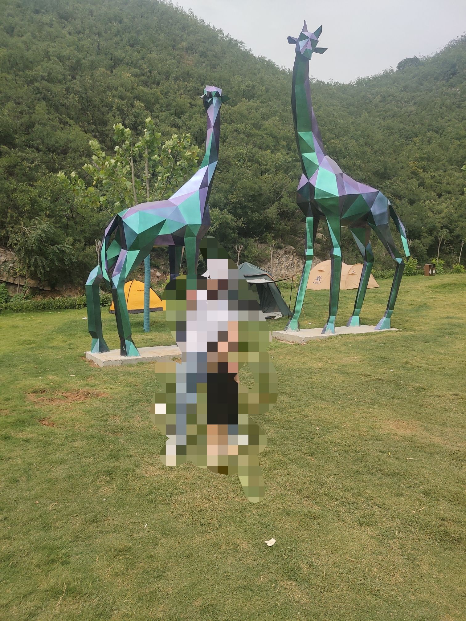 龙鼎湖旅行图片 3