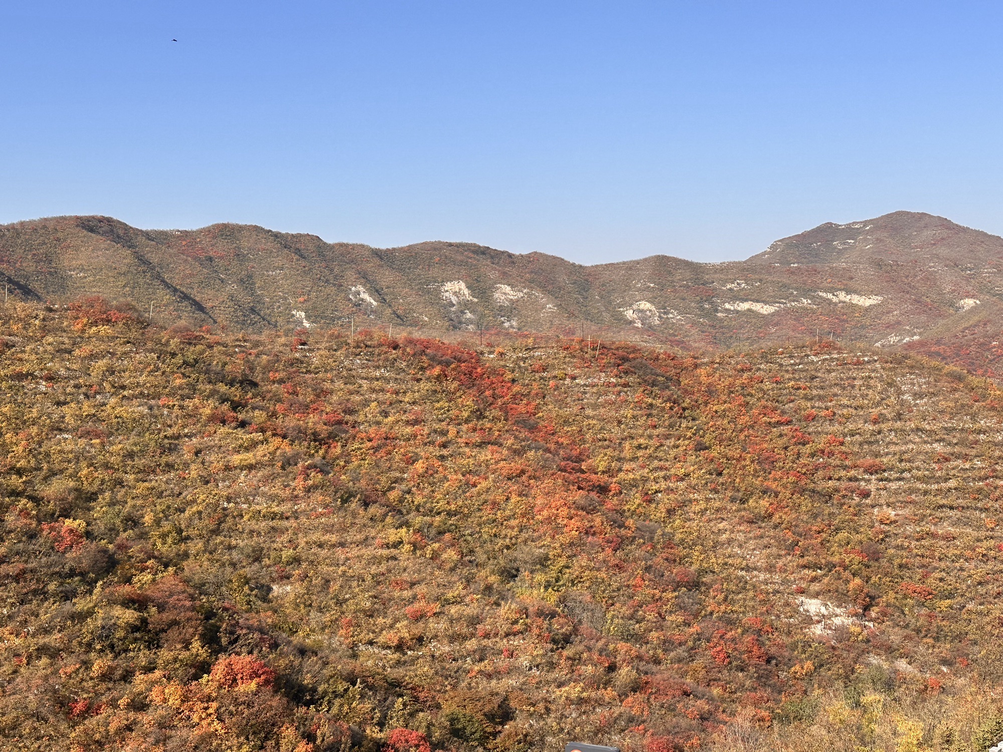 龙鼎湖旅行图片