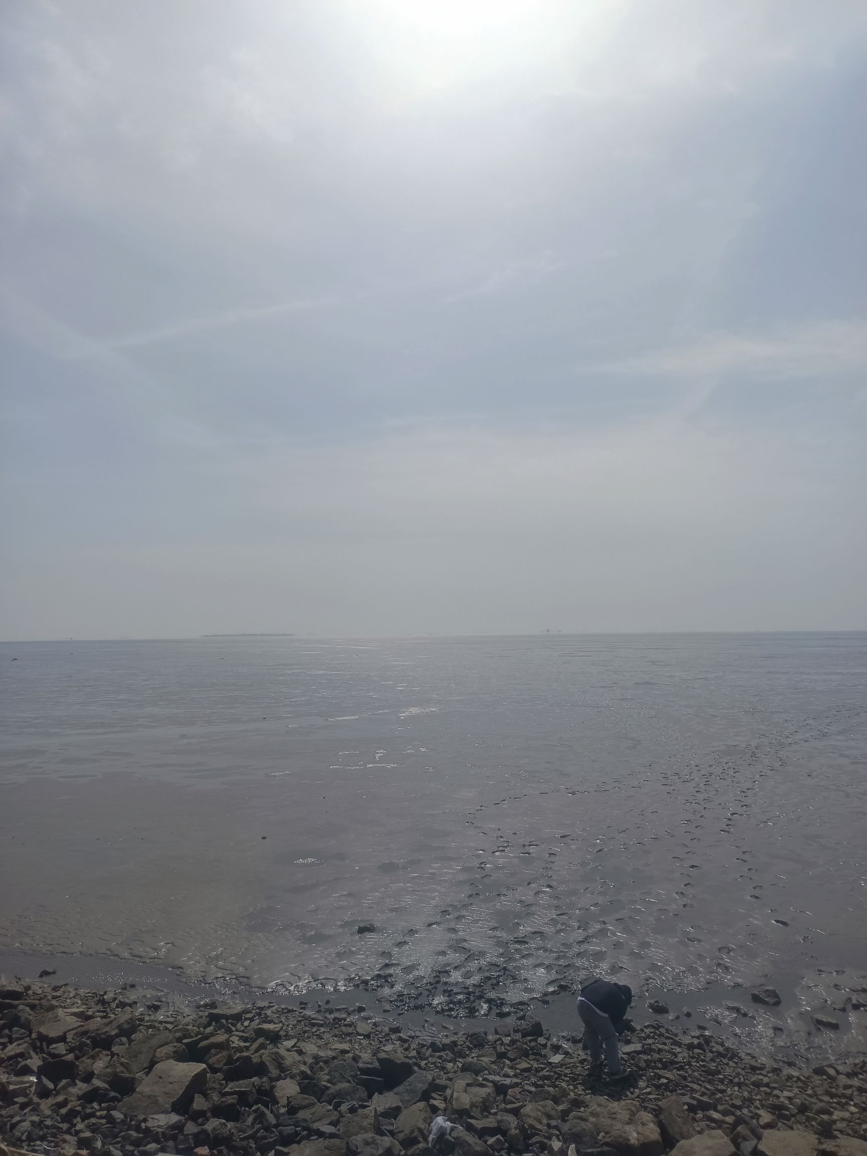 河北滦南南堡嘴东省级湿地公园旅行图片 2