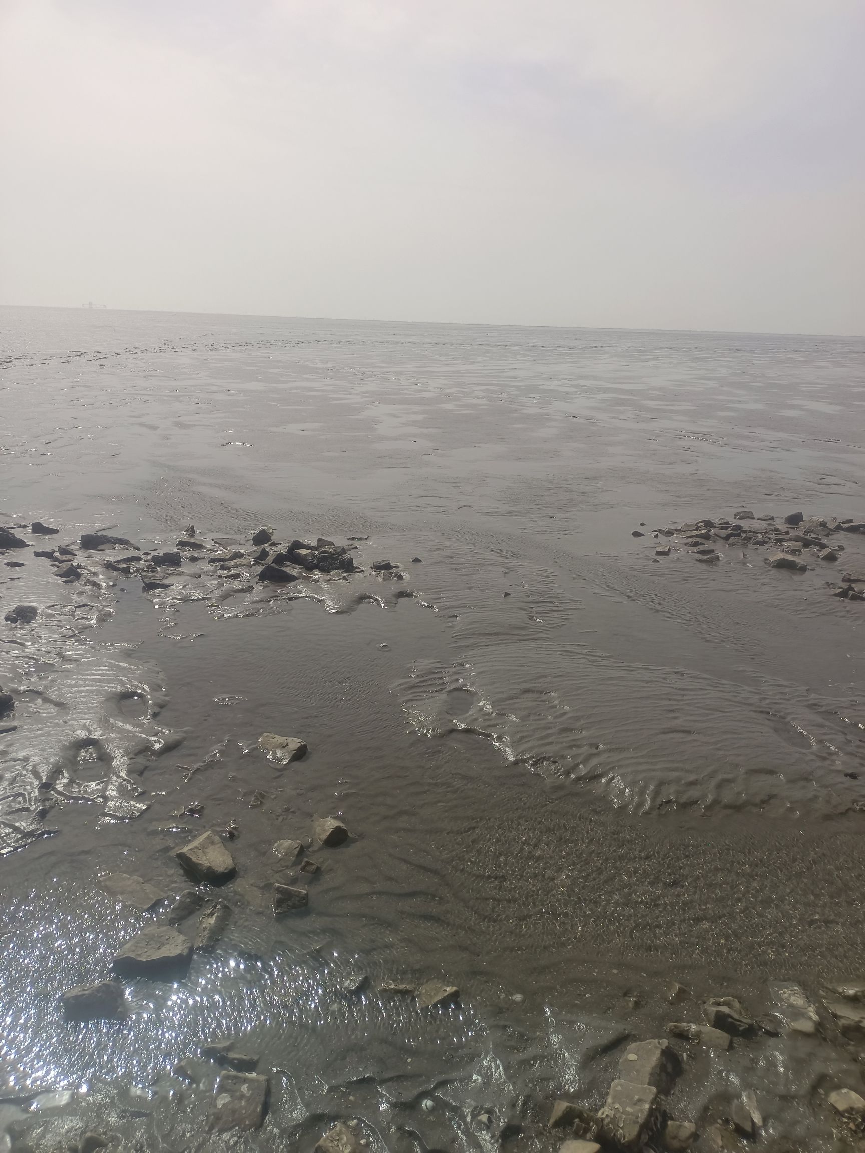 河北滦南南堡嘴东省级湿地公园旅行图片 1