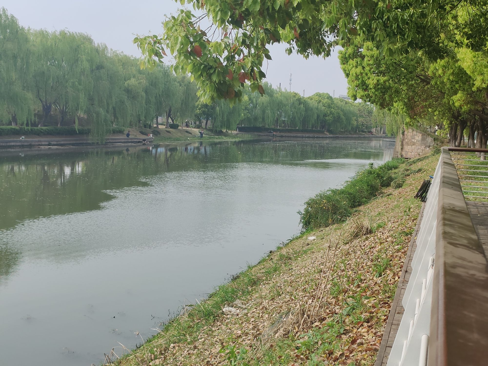 绥德公园旅行图片 1