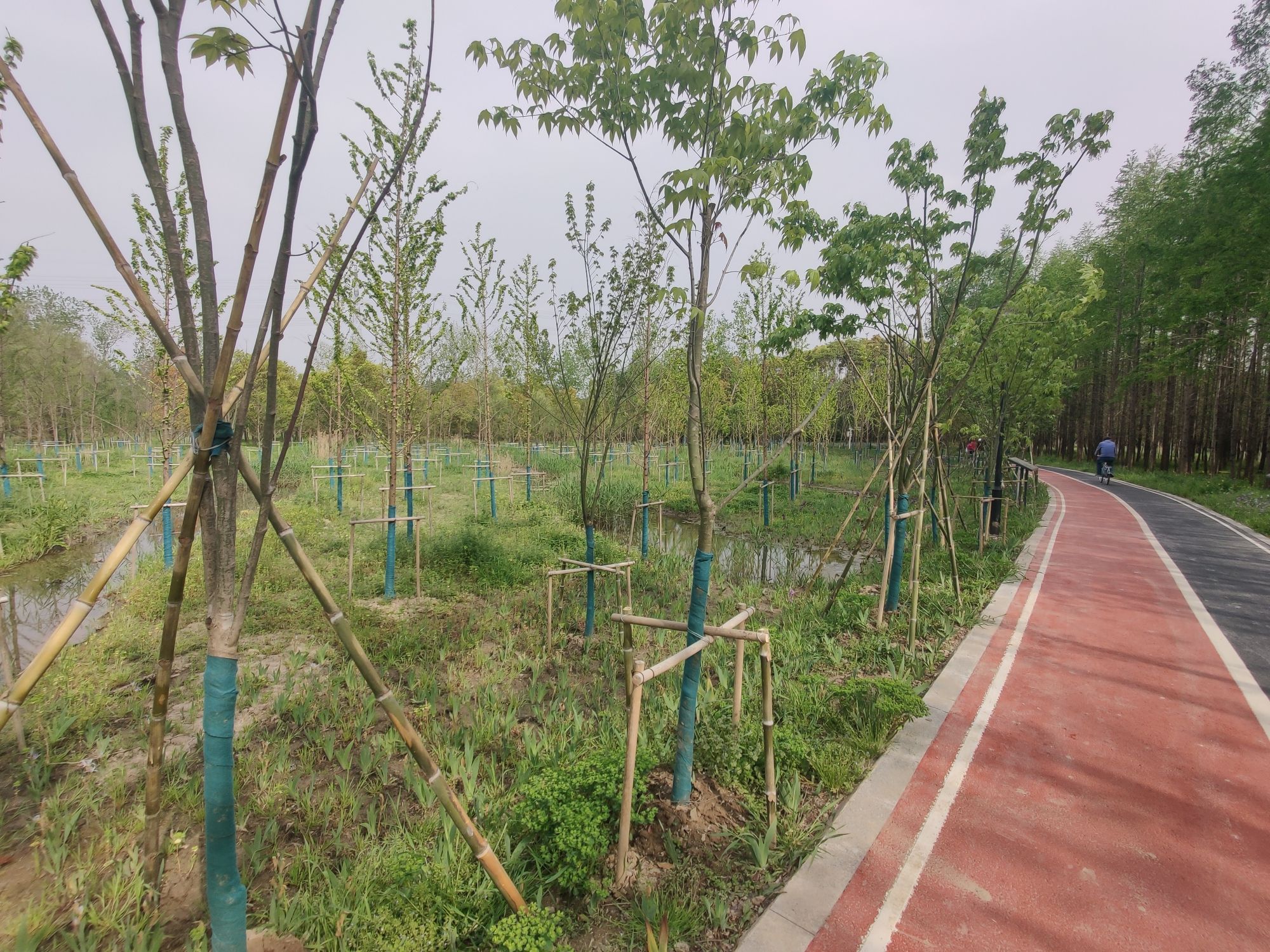 绥德公园旅行图片 2