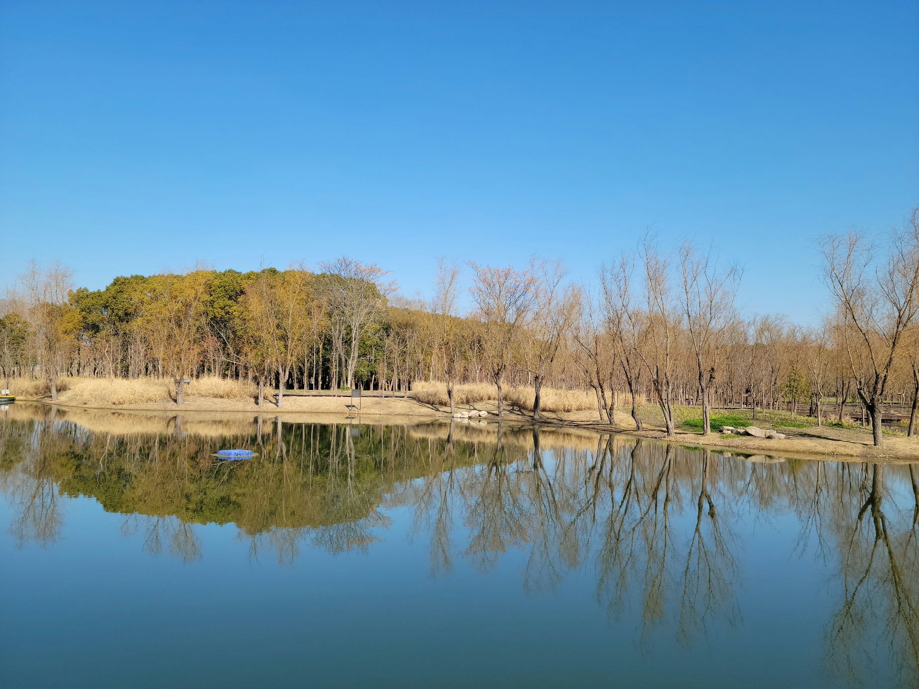 绥德公园旅行图片 1