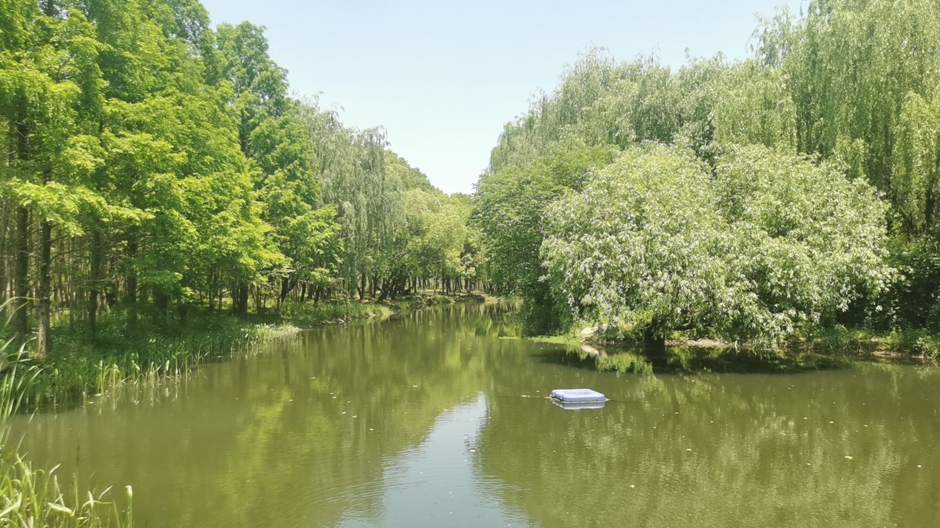 绥德公园旅行图片 3