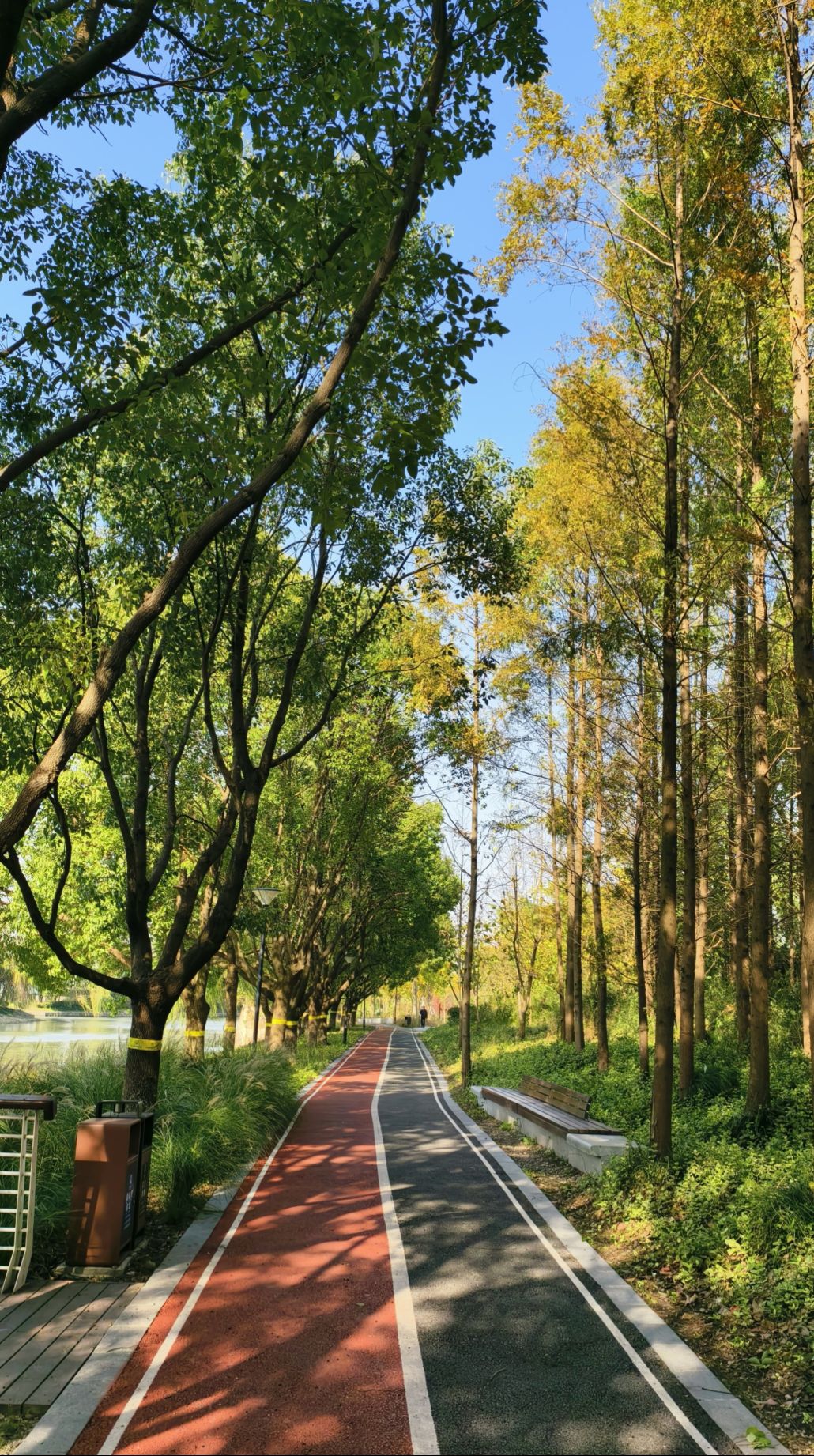 绥德公园旅行图片 1
