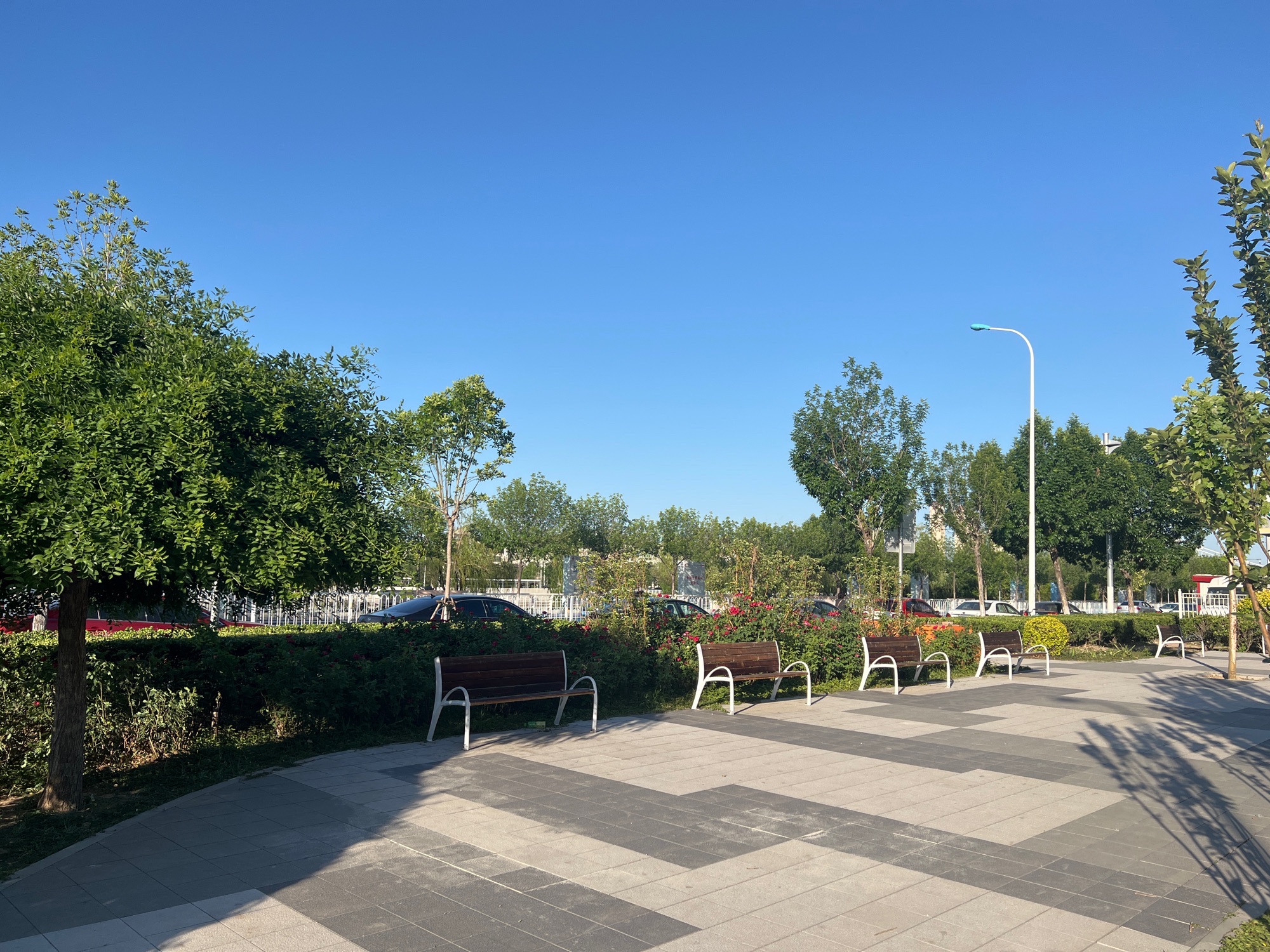 台儿庄路口袋公园旅行图片 2