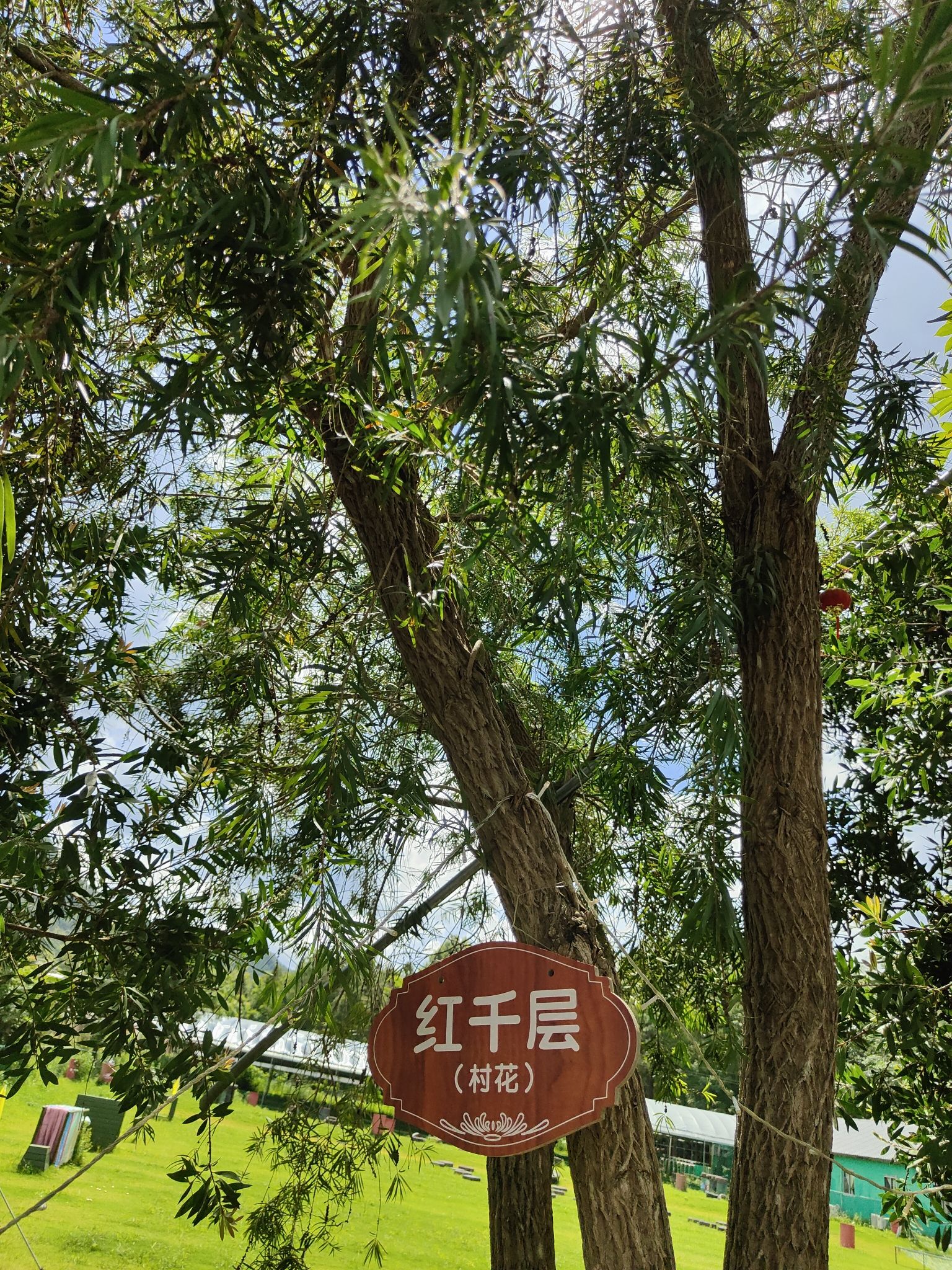 坪地山旅游景区旅行图片 3