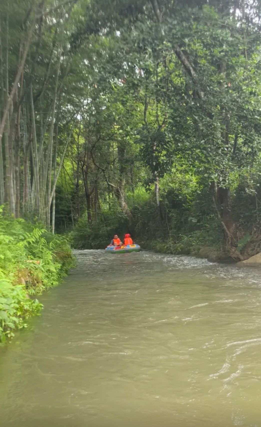 坪地山旅游景区旅行图片 3