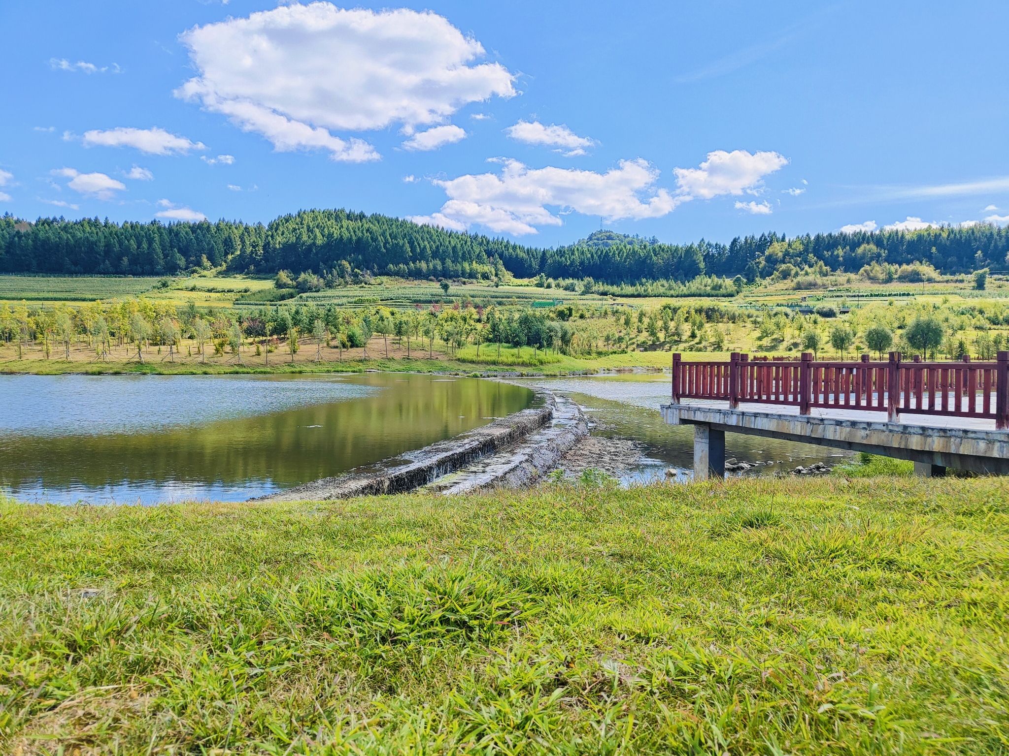 大黄泥河湿地公园