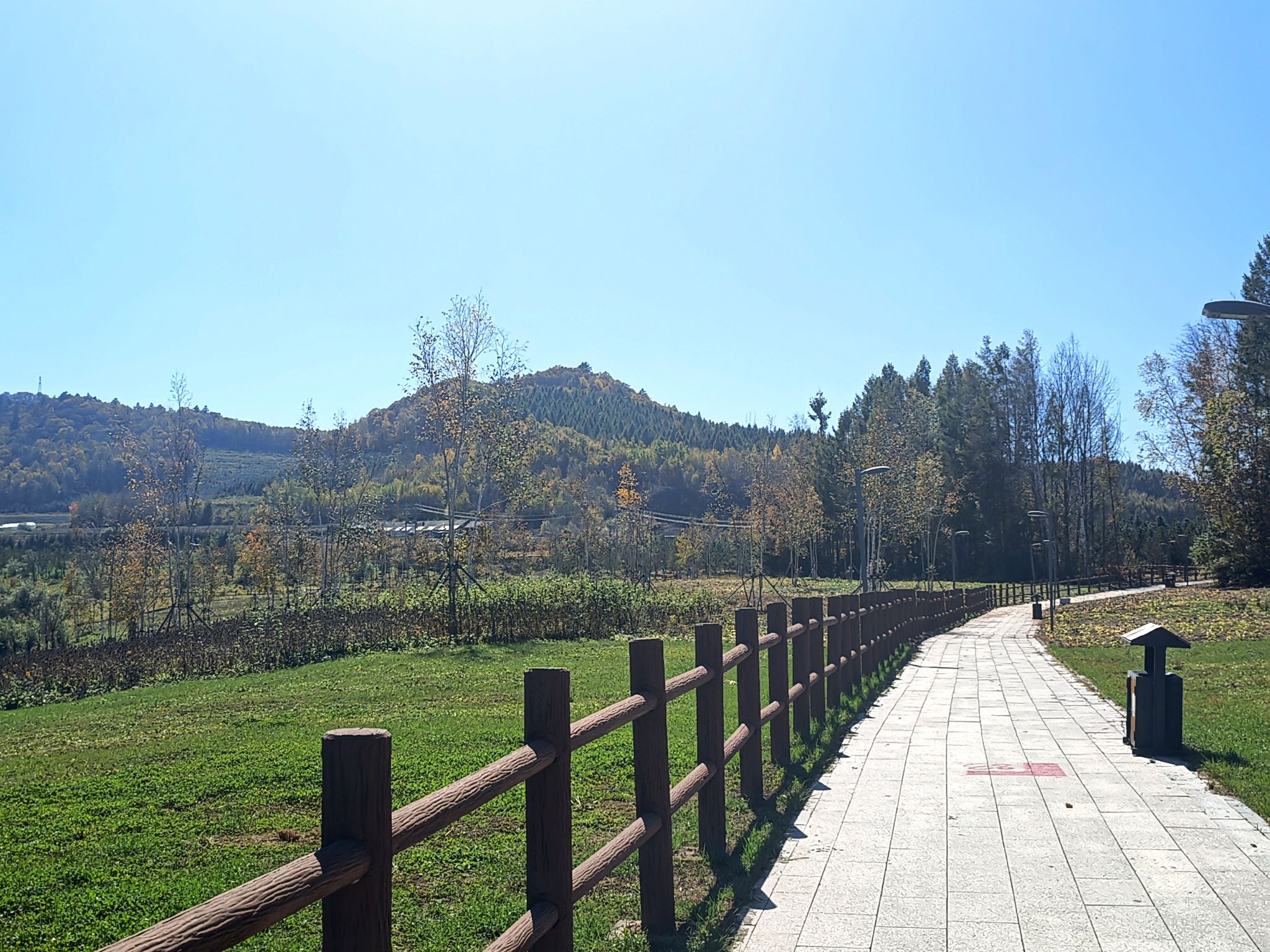 大黄泥河湿地公园旅行图片 3
