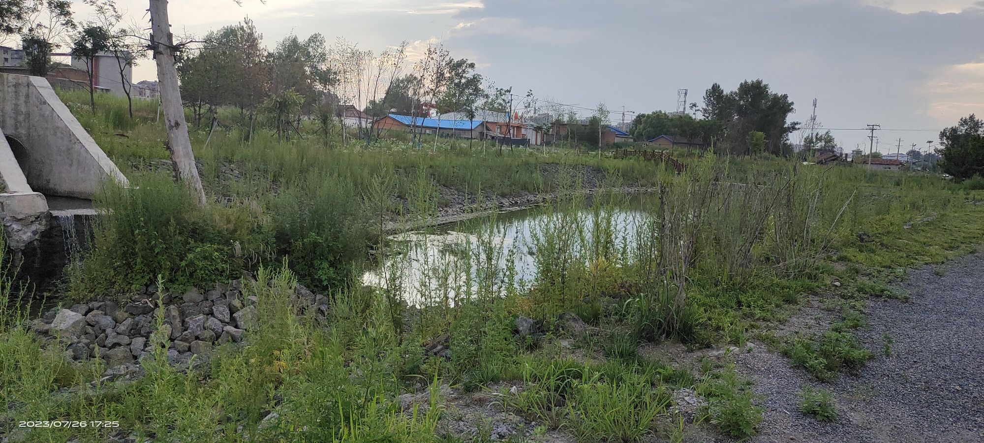 小黄泥河湿地公园旅行图片 1