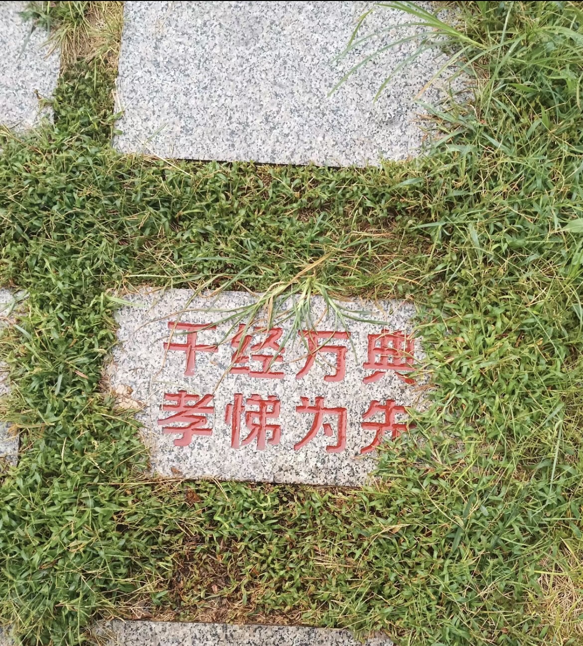 龙泉广场旅行图片 2