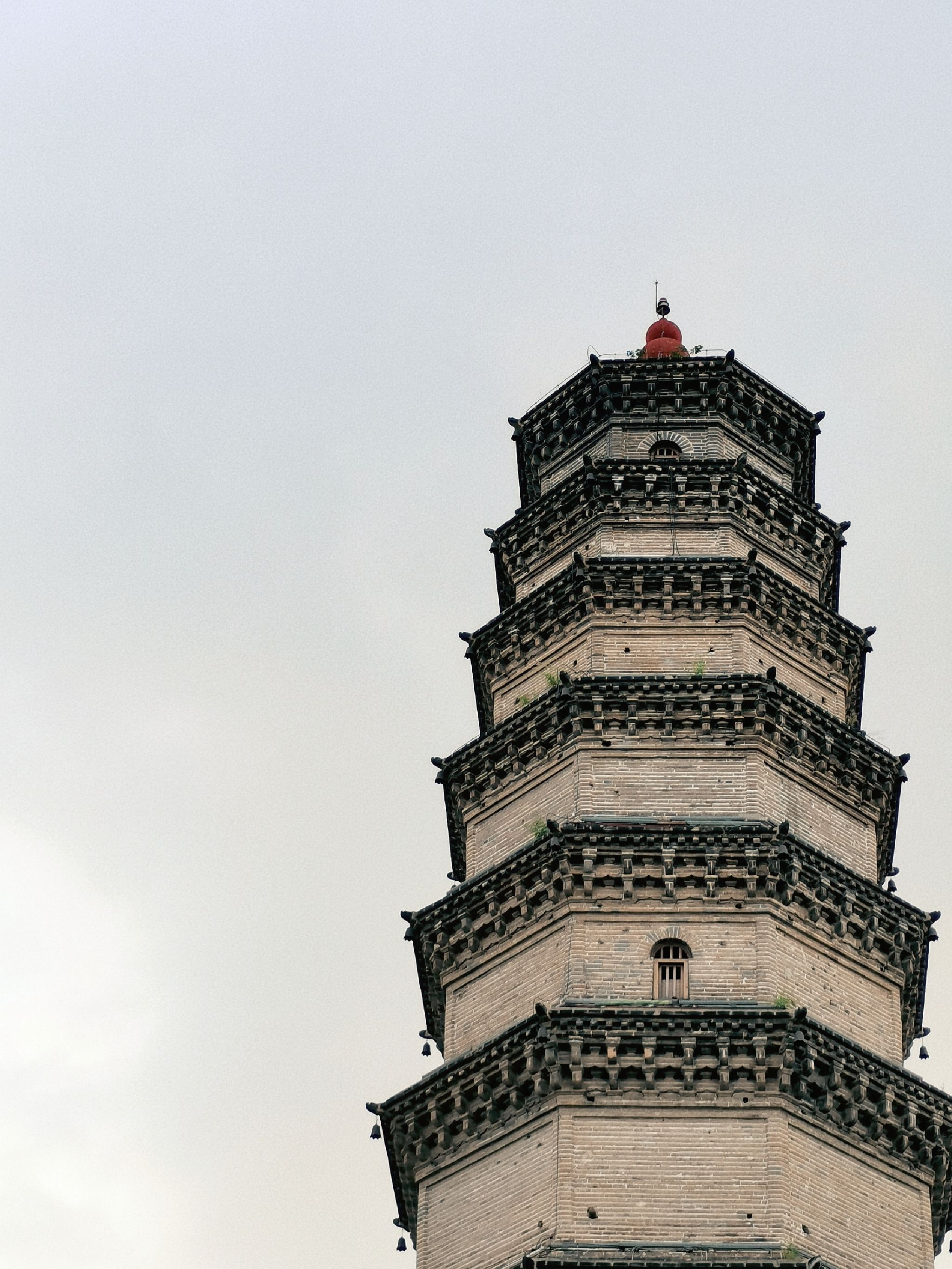 龙泉广场旅行图片 2