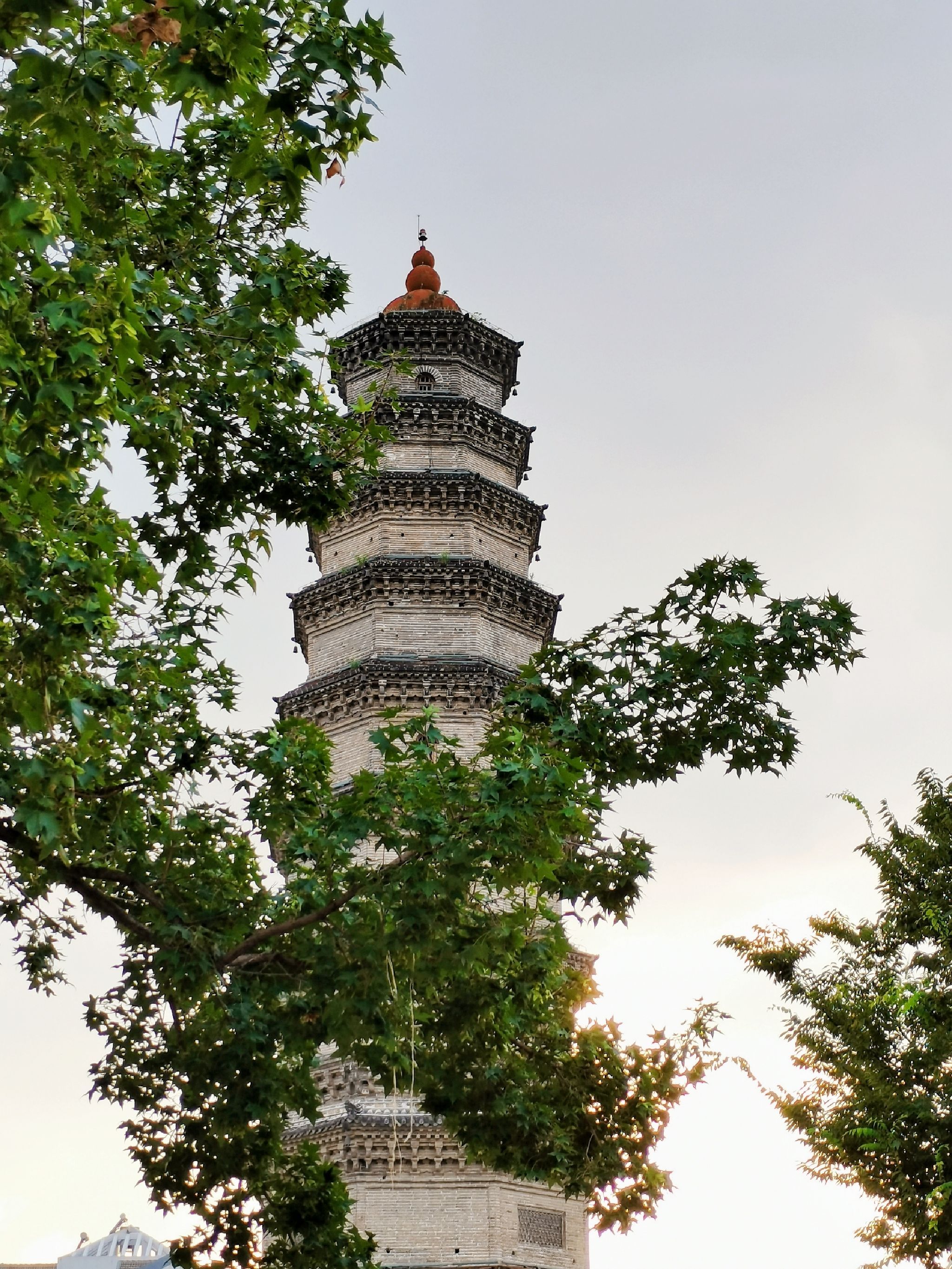 龙泉广场旅行图片 1