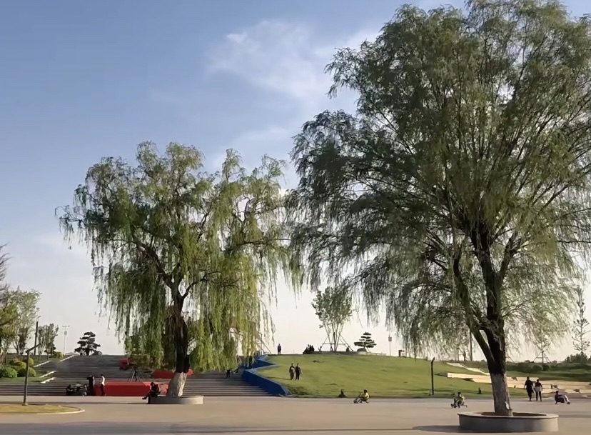 白云湖湿地公园旅行图片 3