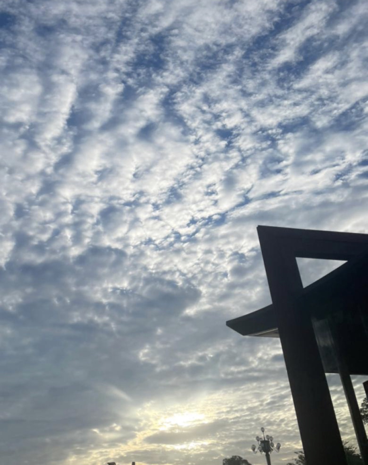 白云湖湿地公园旅行图片 3