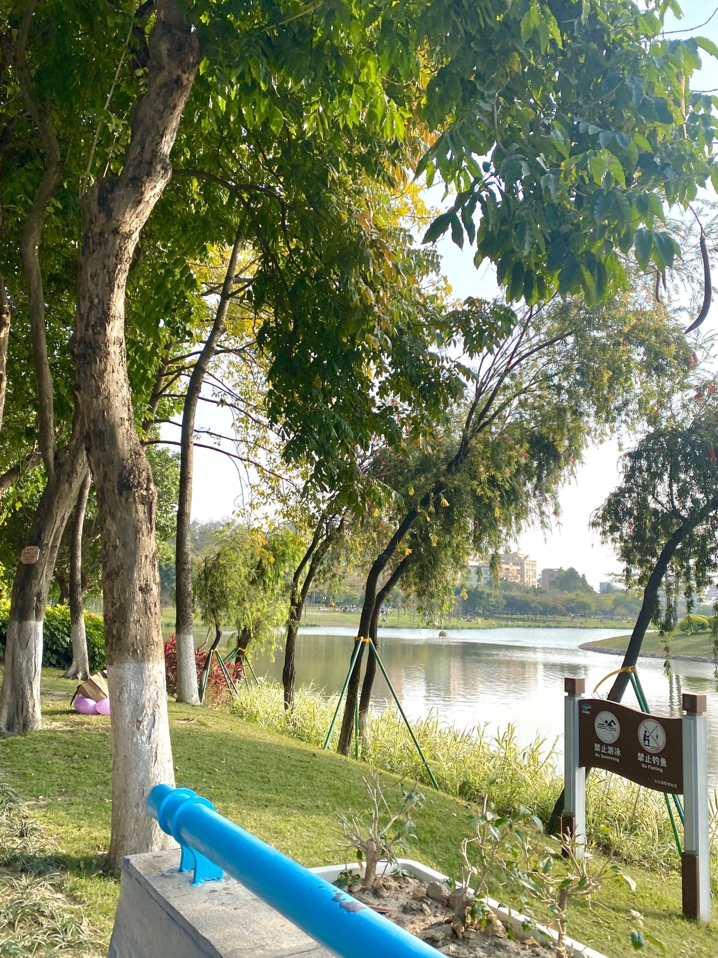 白云湖湿地公园旅行图片 1