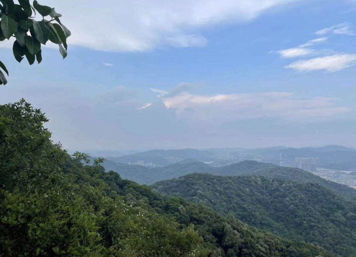 白云湖湿地公园旅行图片 1