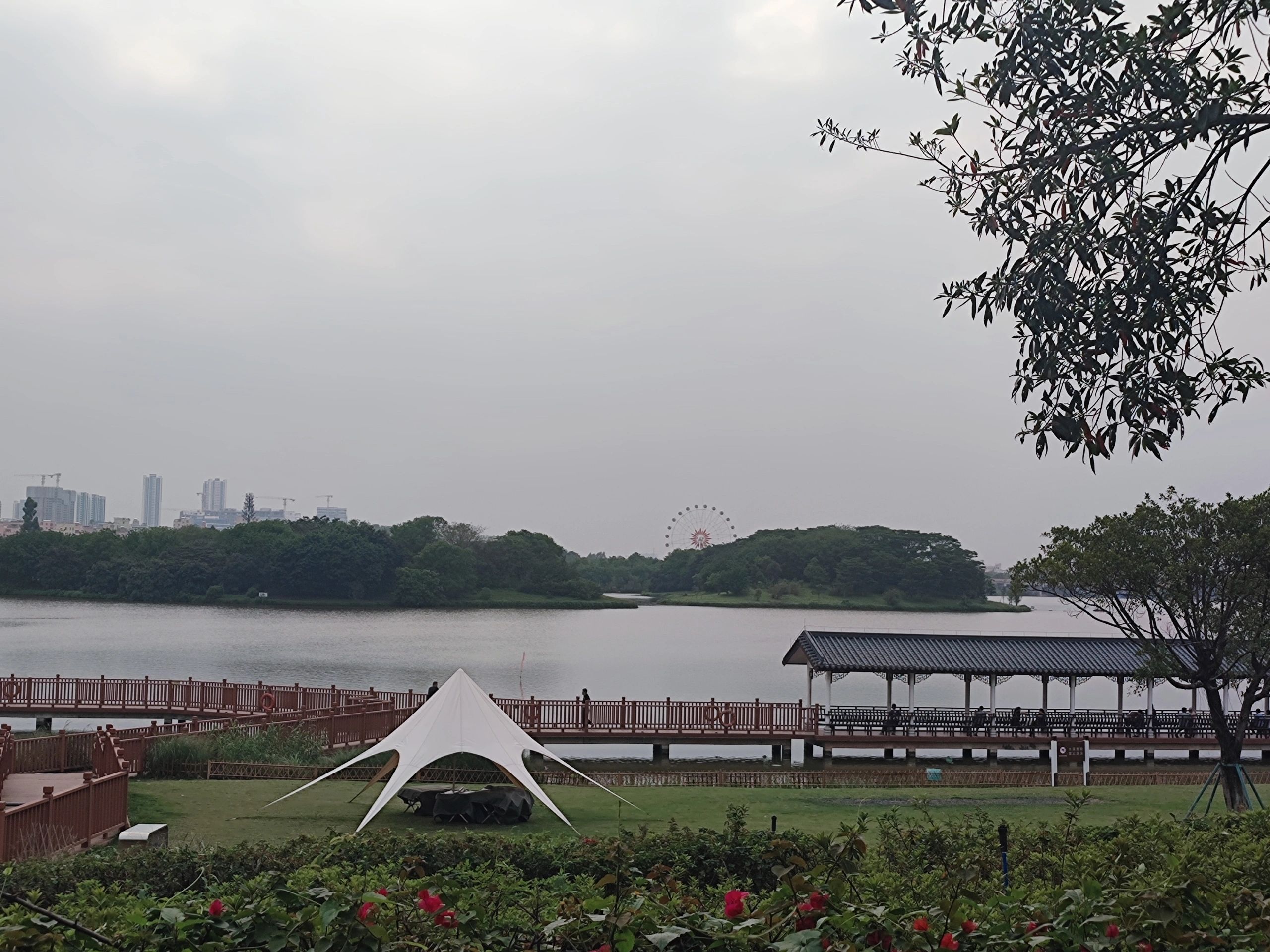 白云湖湿地公园旅行图片 3