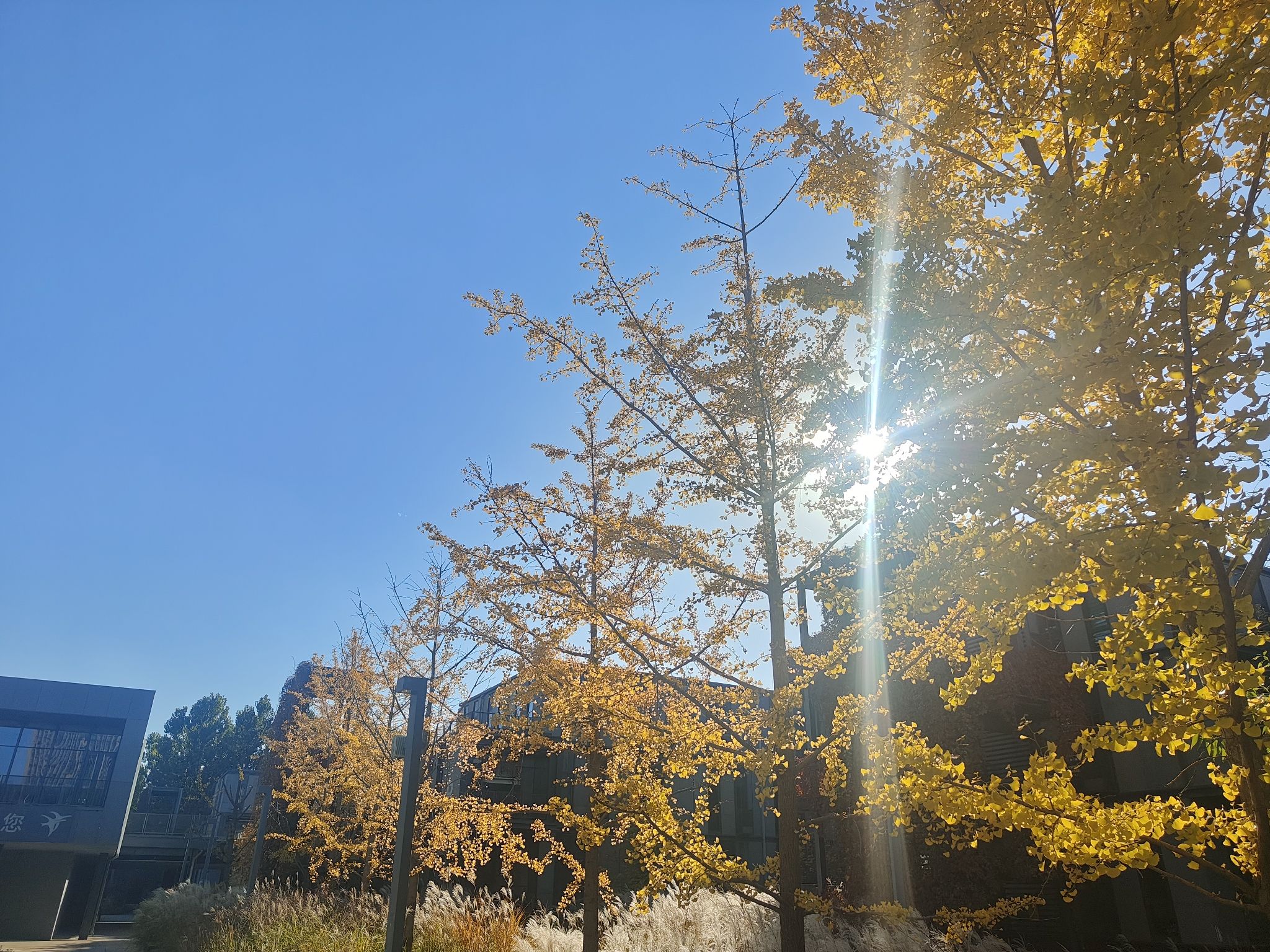 冉庄地道战遗址旅行图片 3