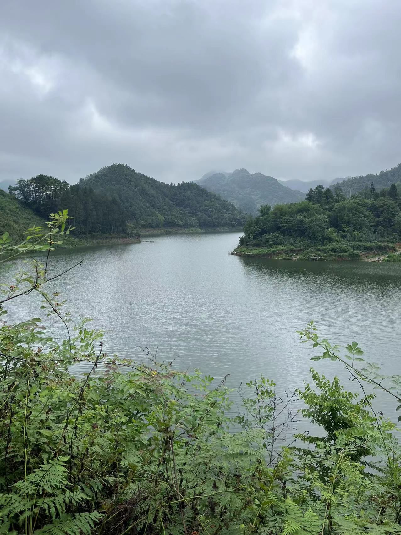 观文镇千鸟湖旅行图片 1