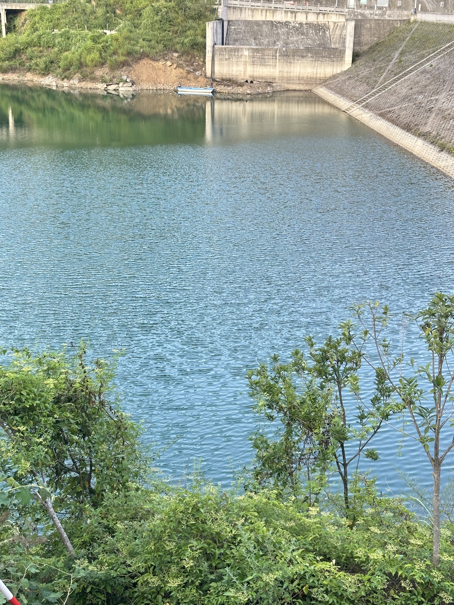 观文镇千鸟湖旅行图片 3