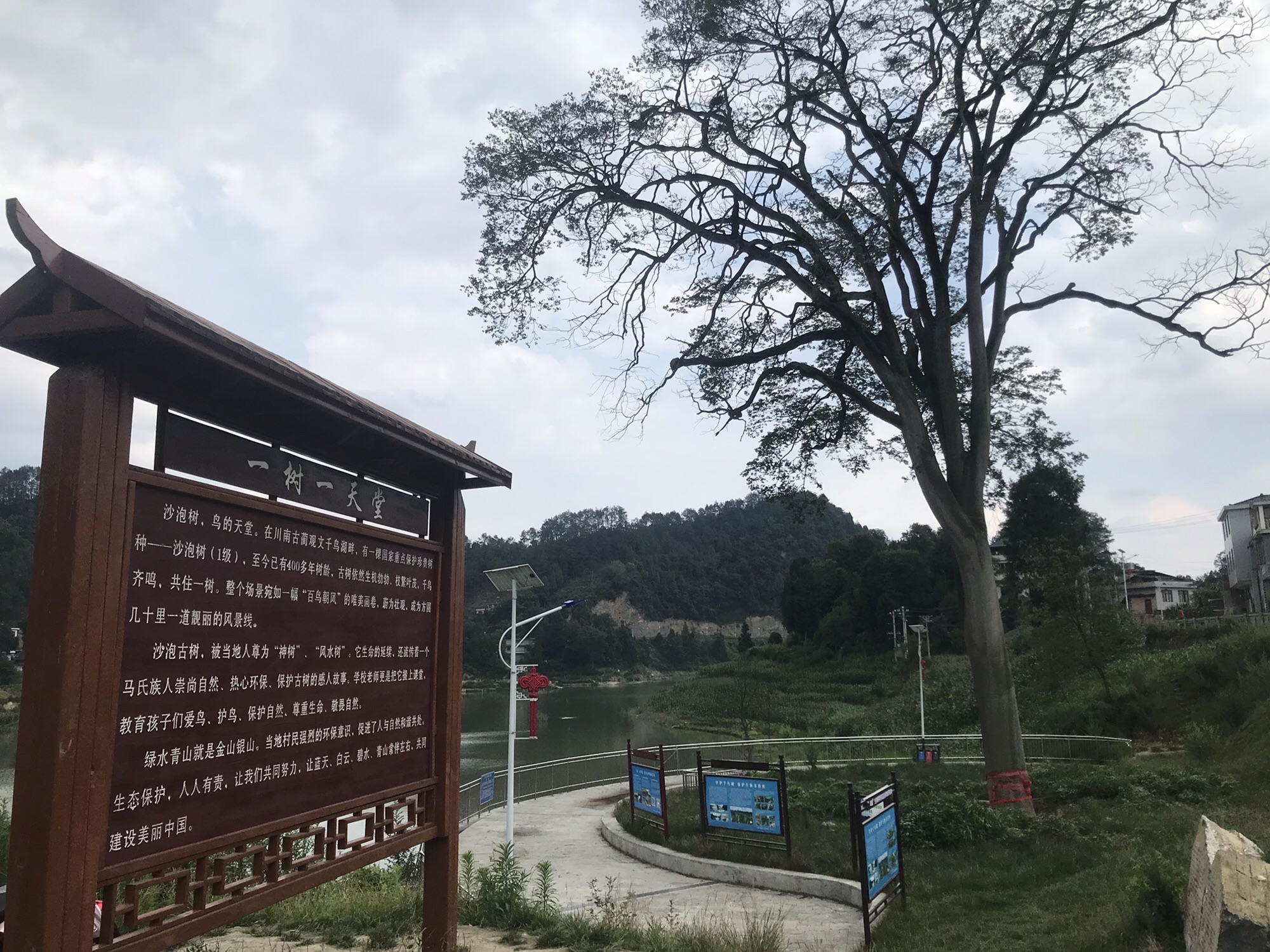 观文镇千鸟湖旅行图片 1