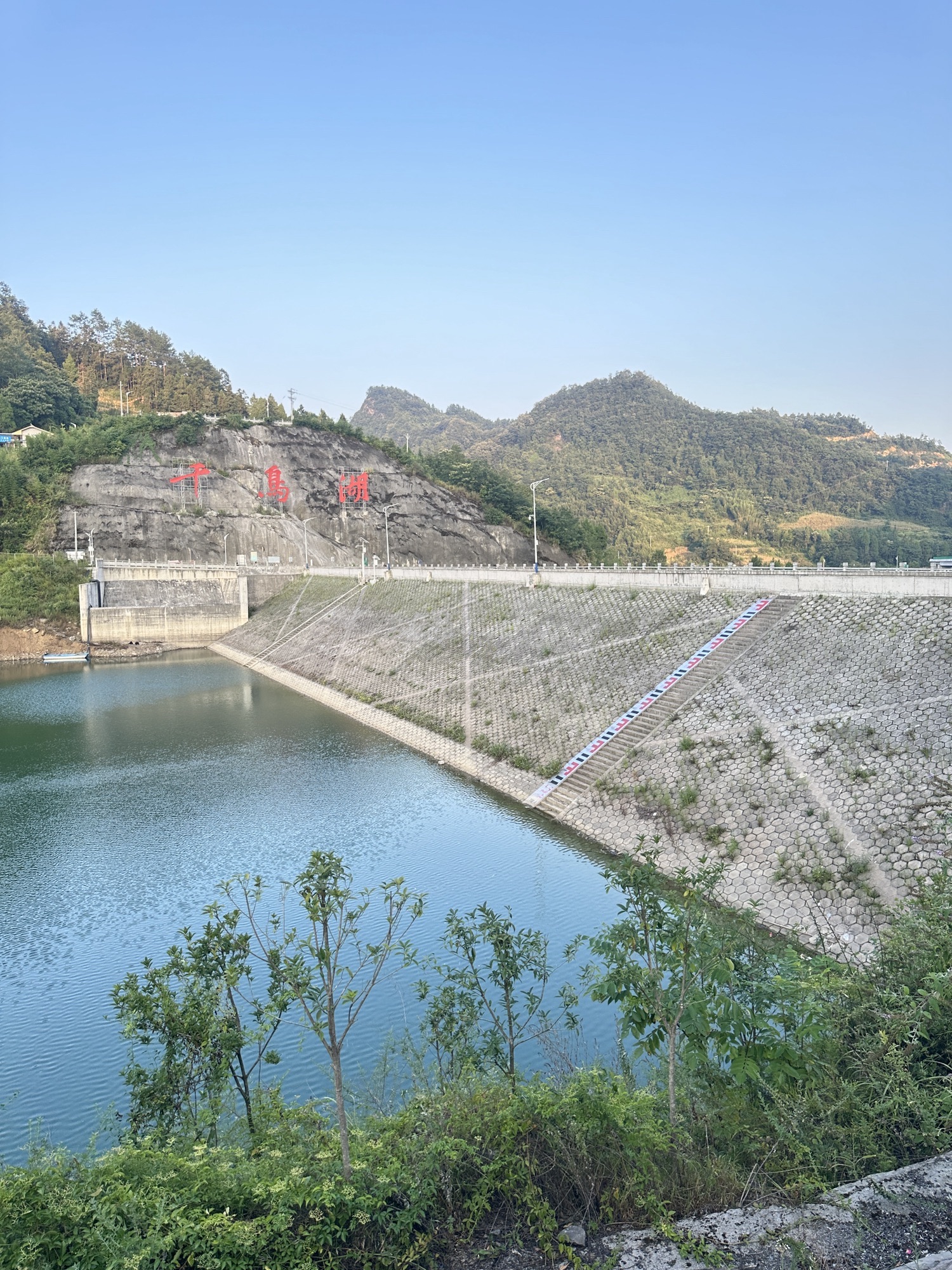 观文镇千鸟湖旅行图片 1