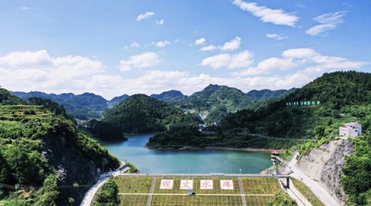 观文镇千鸟湖旅行图片 2