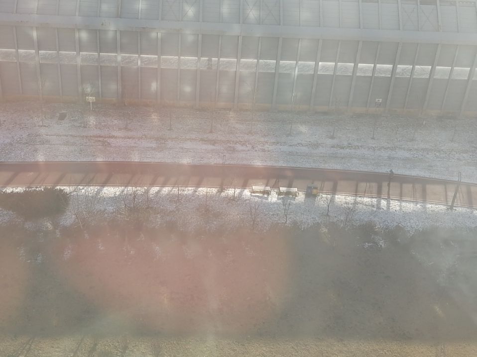塔湾公园旅行图片 1