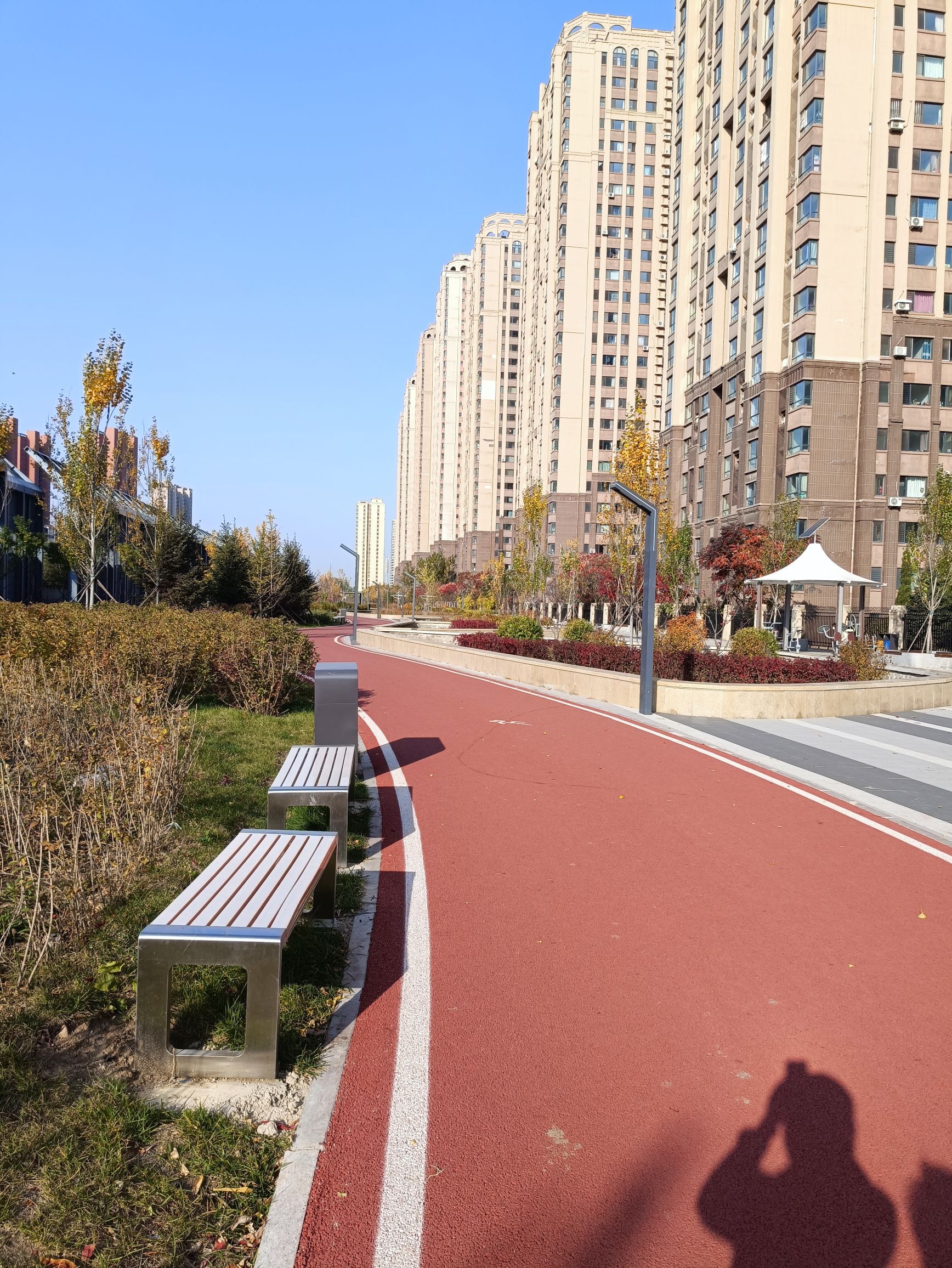 塔湾公园旅行图片 2
