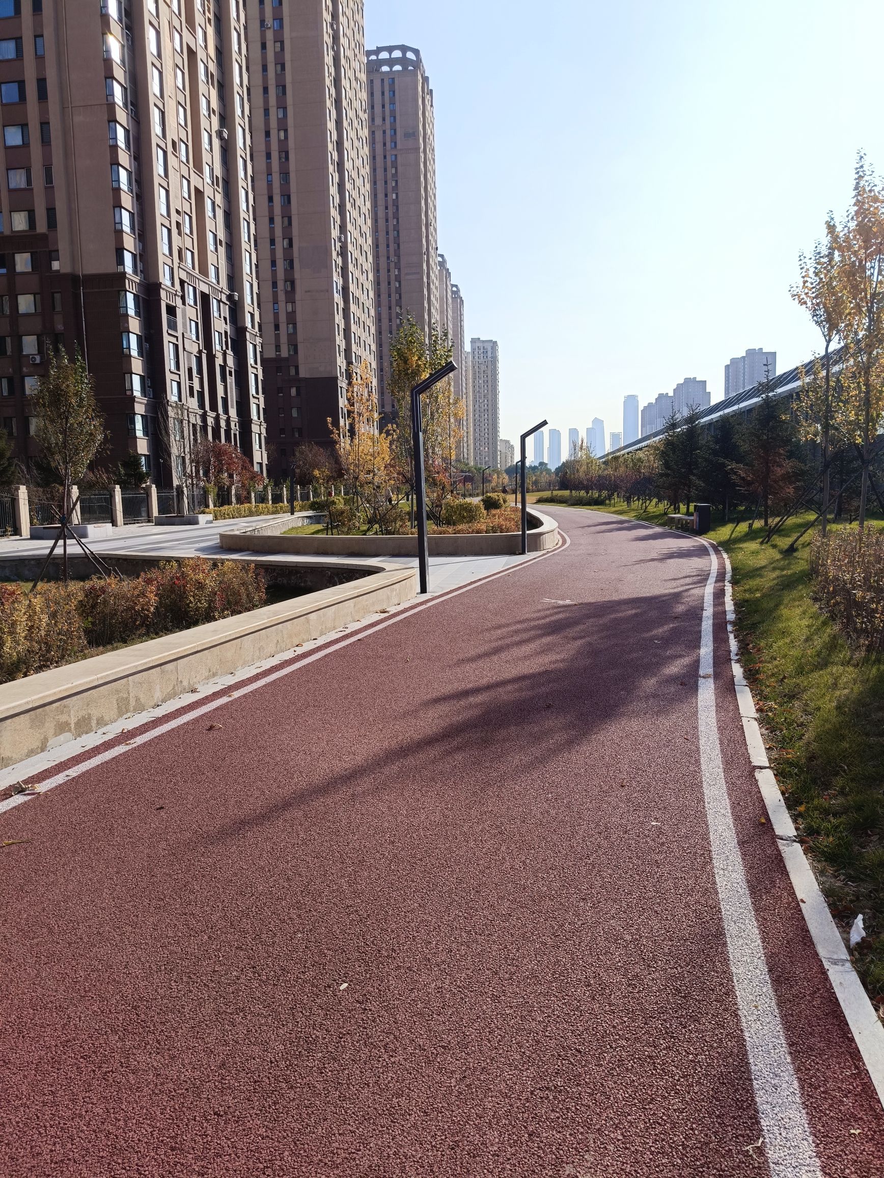塔湾公园旅行图片 3