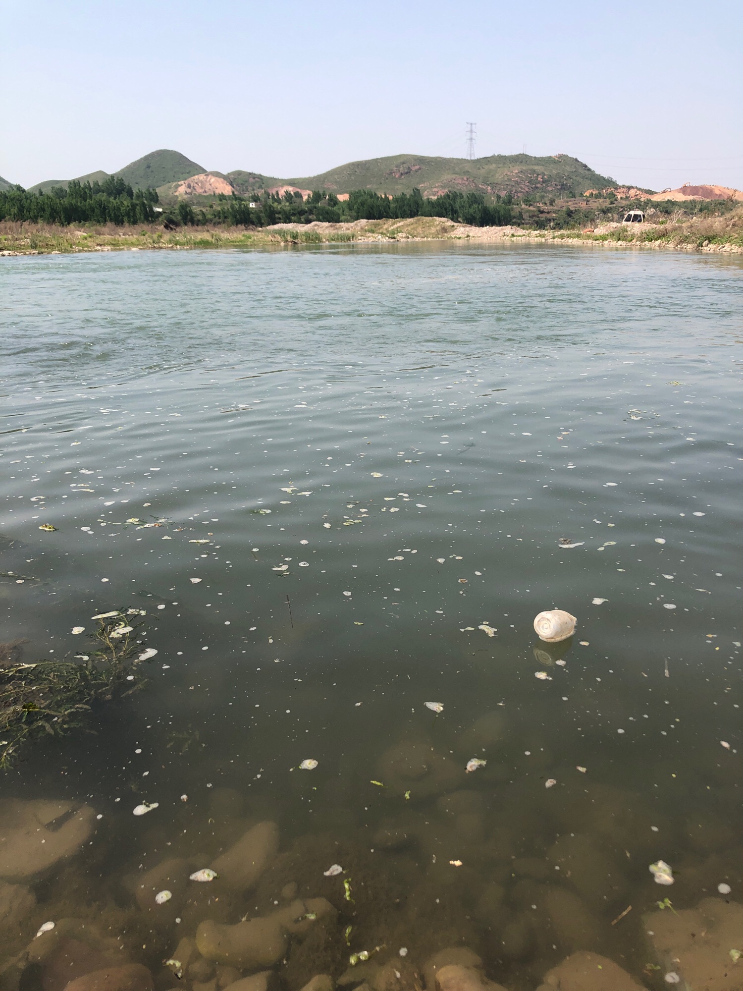 踏水滩湿地公园旅行图片 1