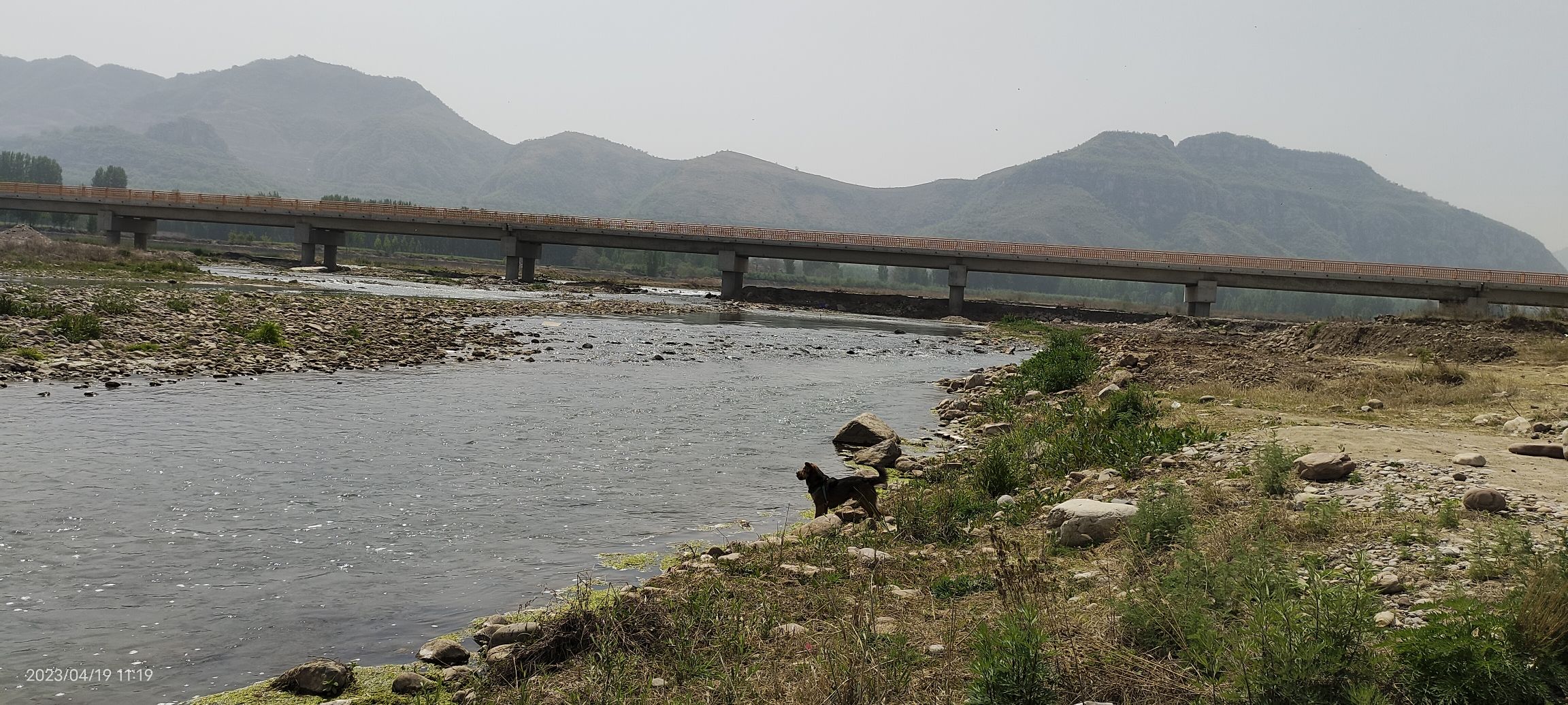 踏水滩湿地公园旅行图片 3